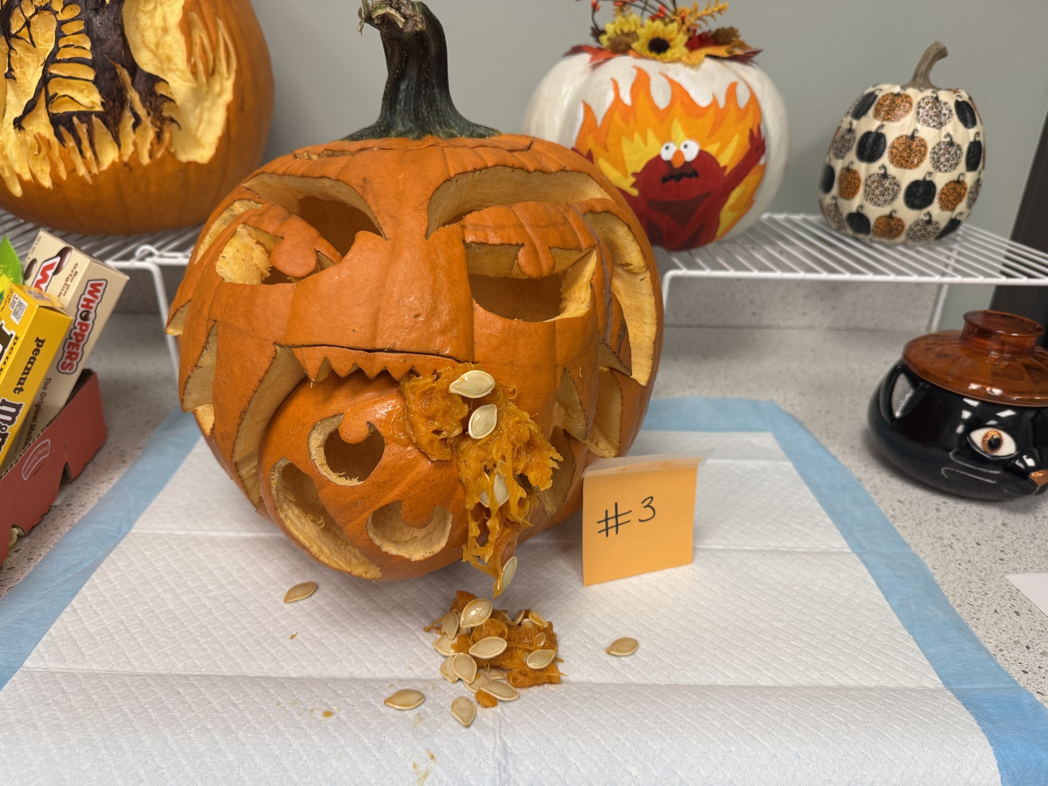 SurgiPet Affordable Surgery & Dentistry Buford