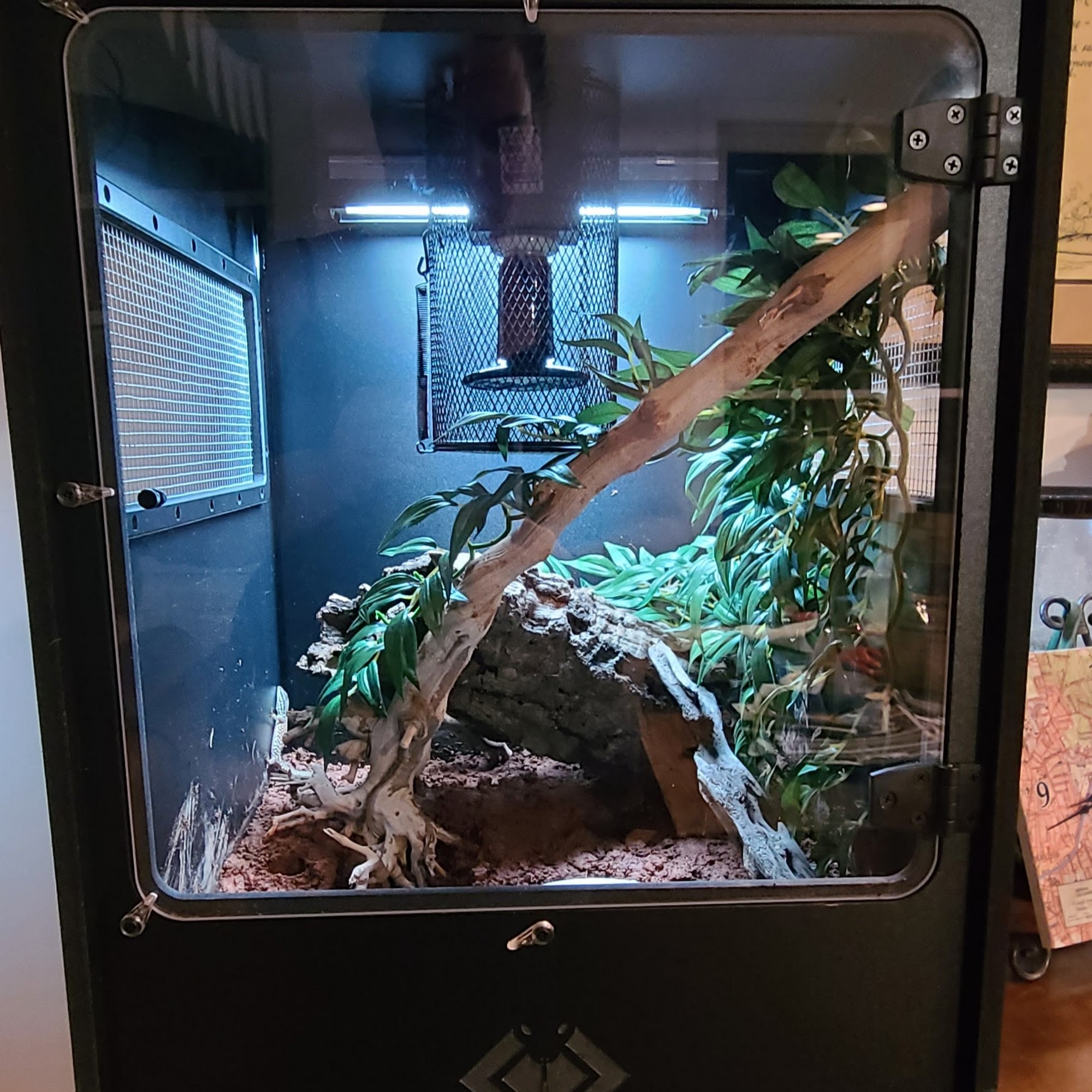 BlackBox Reptile Cages & Rack Systems Buford