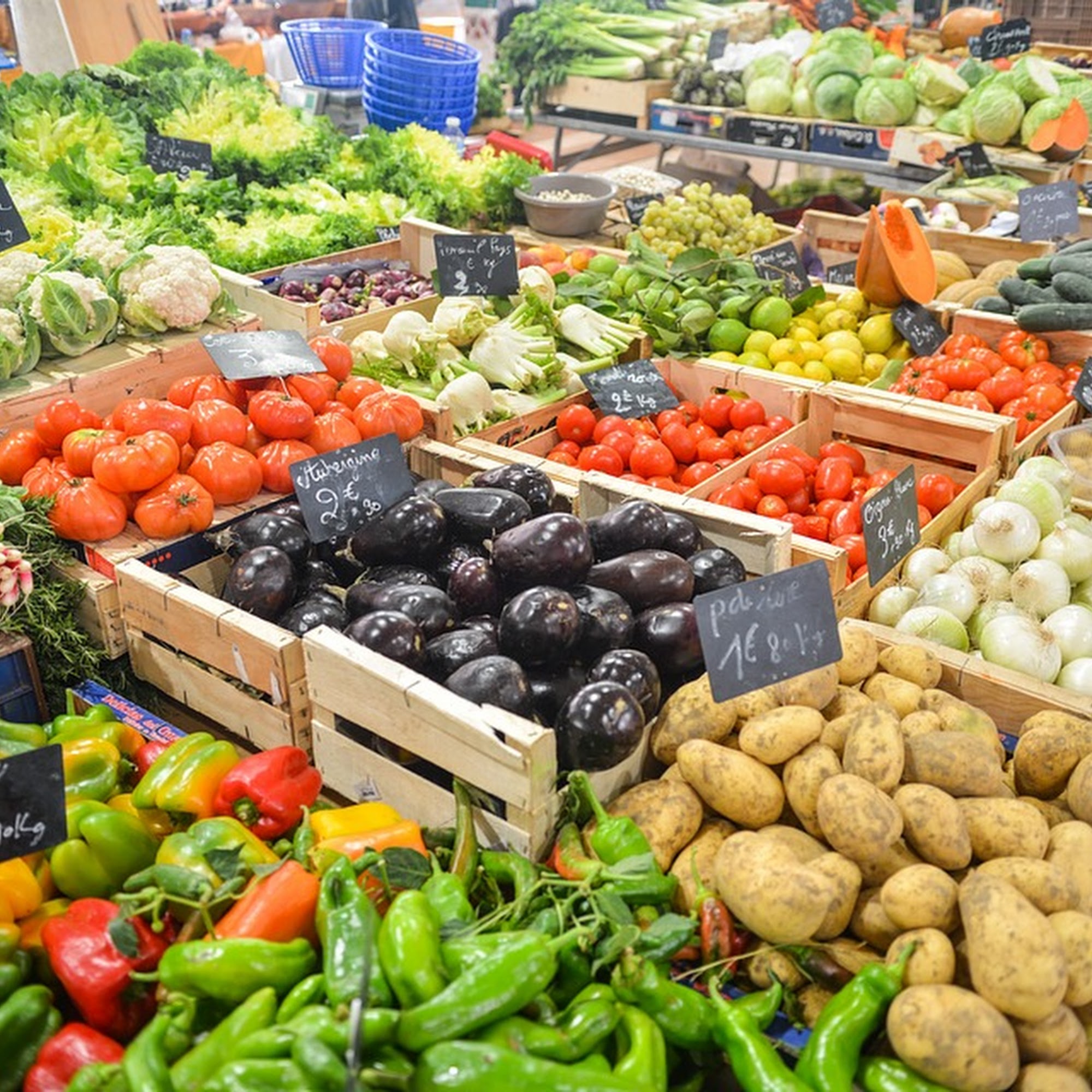 Ricky Powe Farms Cairo