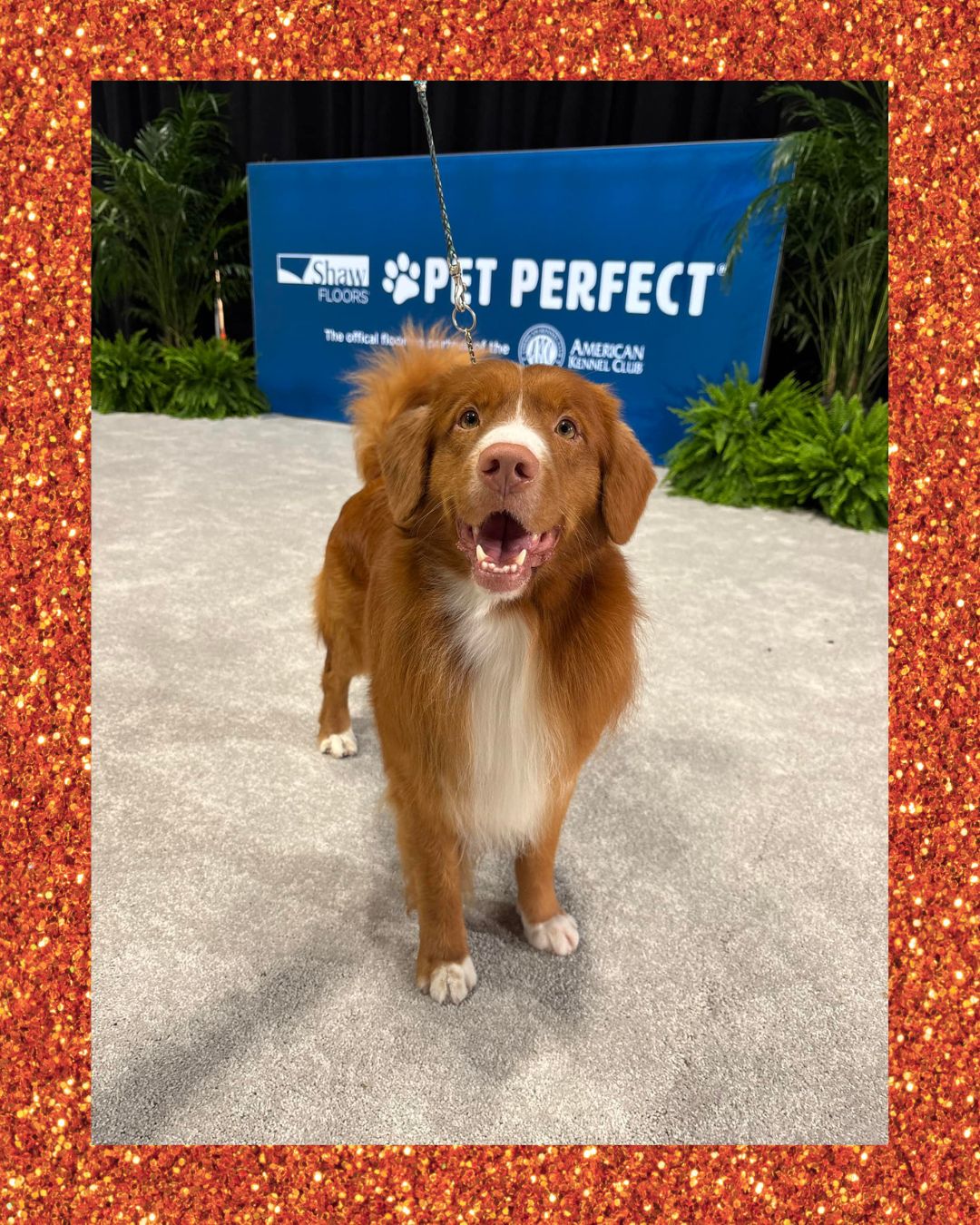 Shaw Floors - Plant WF