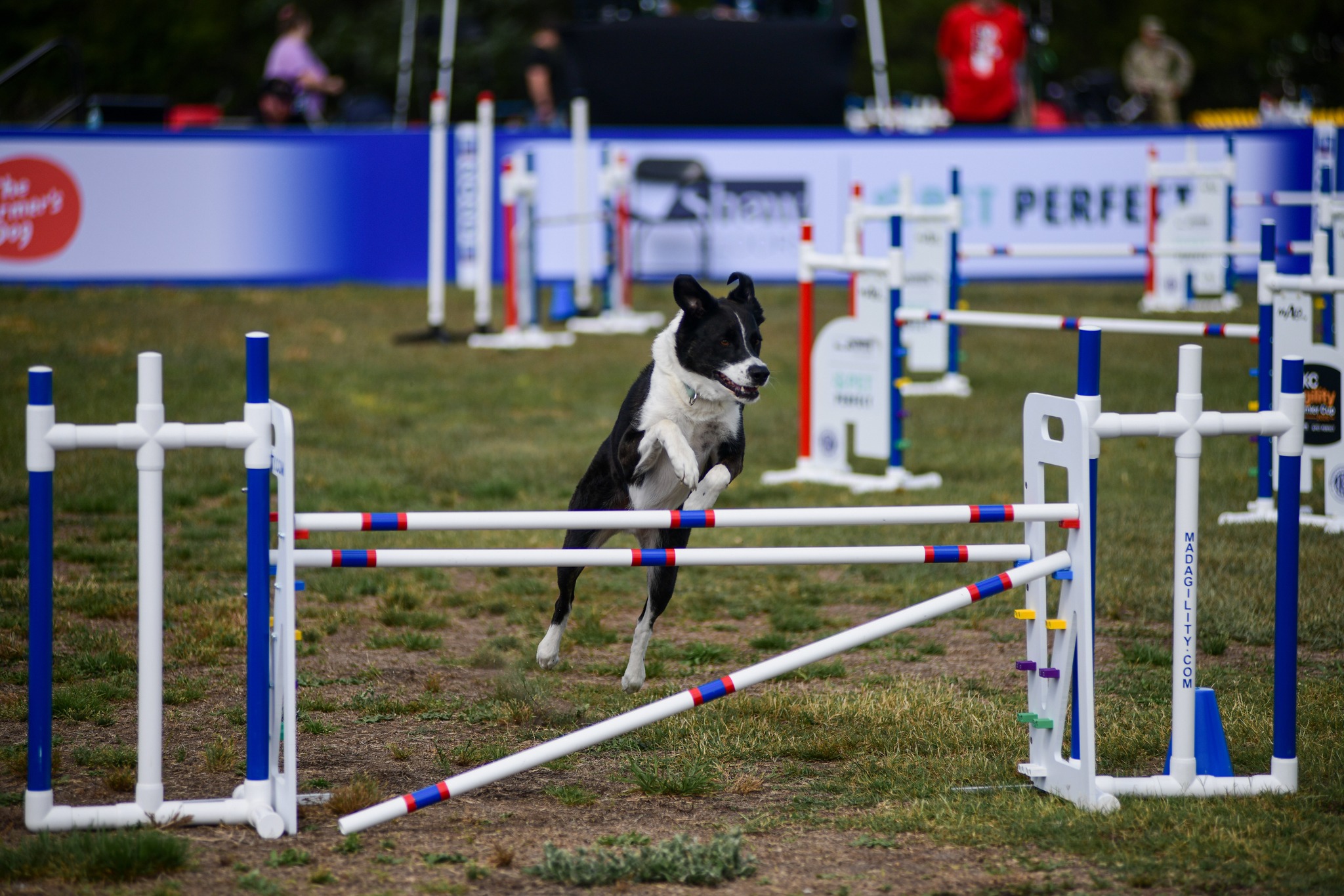 Shaw Floors - Plant WF