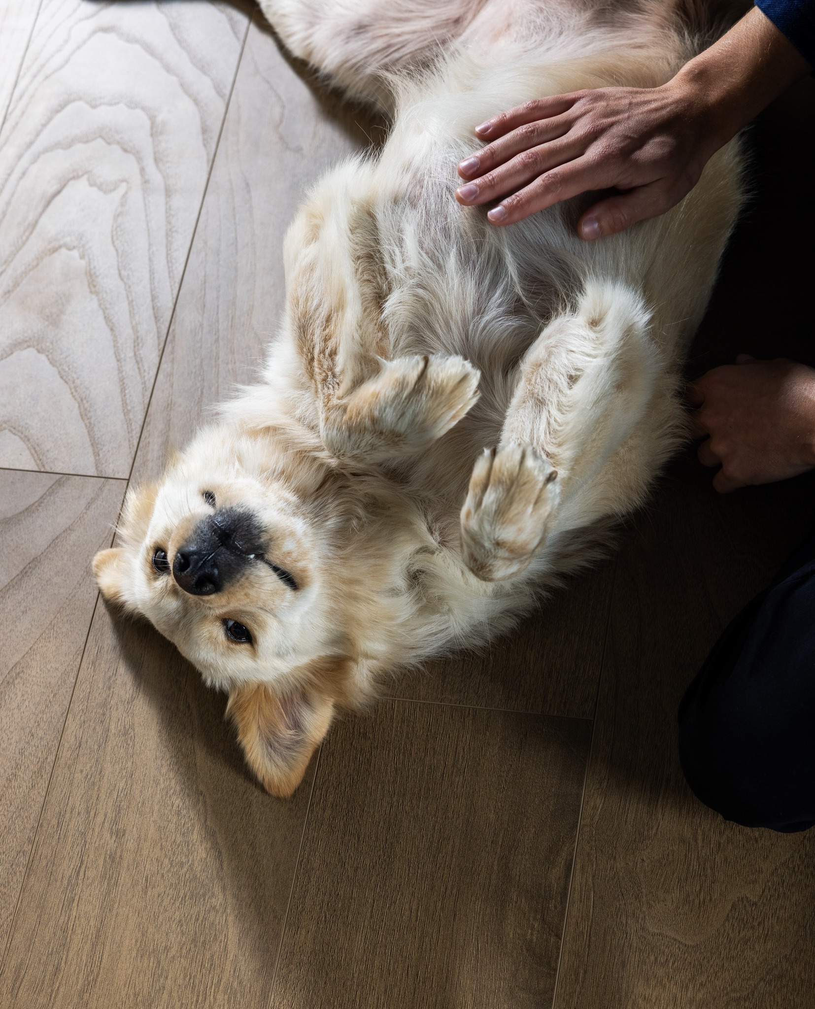 Shaw Floors - Plant WF