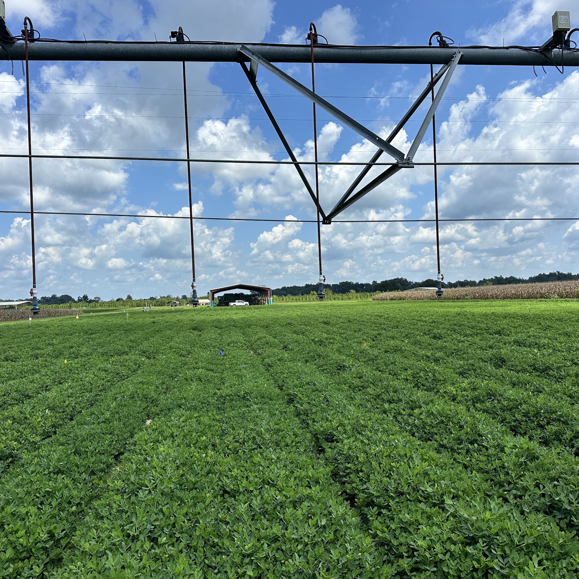 Cm Stripling Irrigation Resear 8207 GA-37, Camilla Georgia 31730