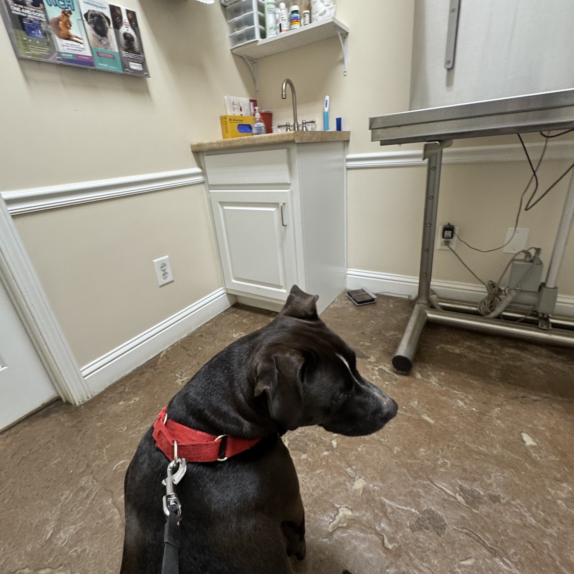 Acres Mill Veterinary Clinic Canton