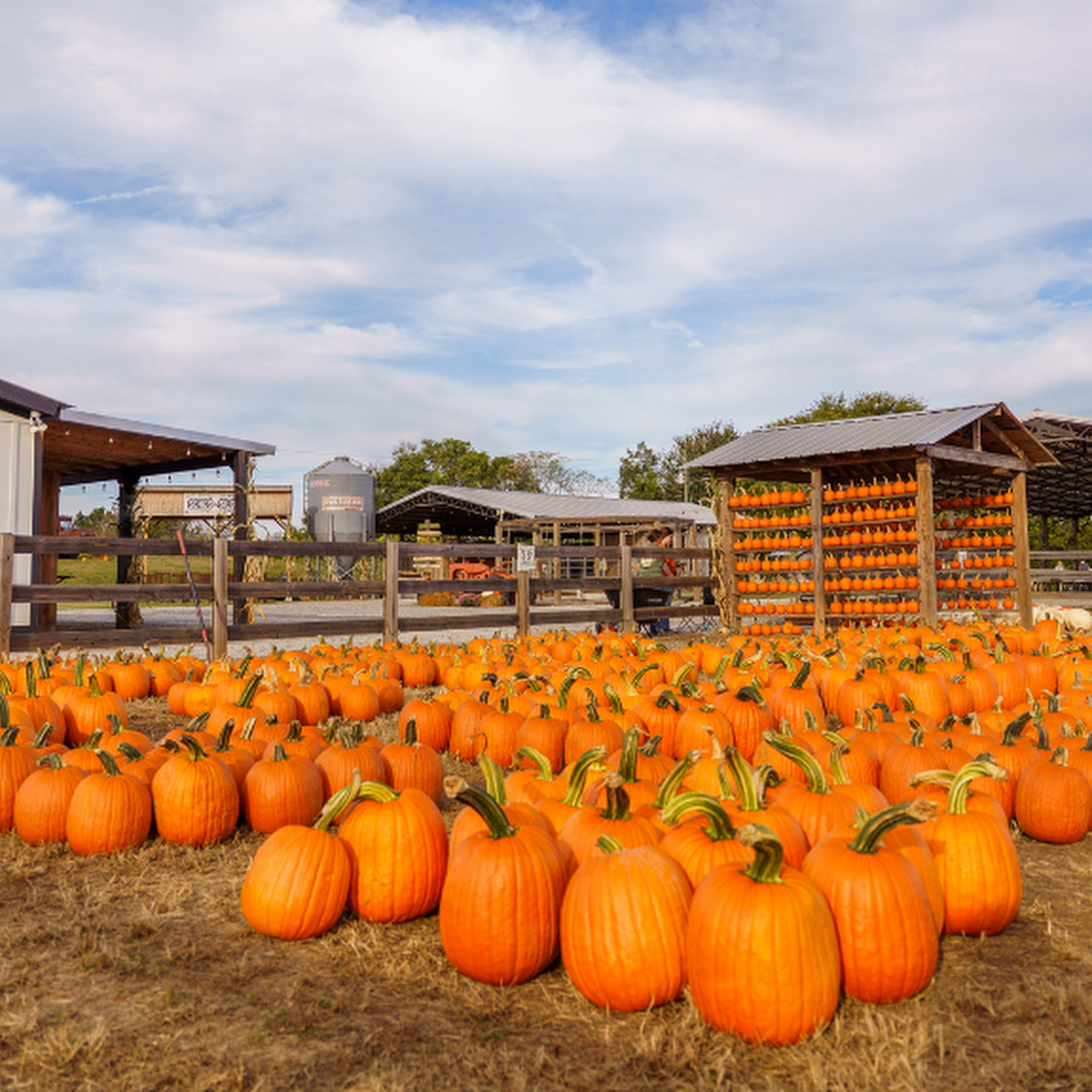 Cagle's Family Farm Canton
