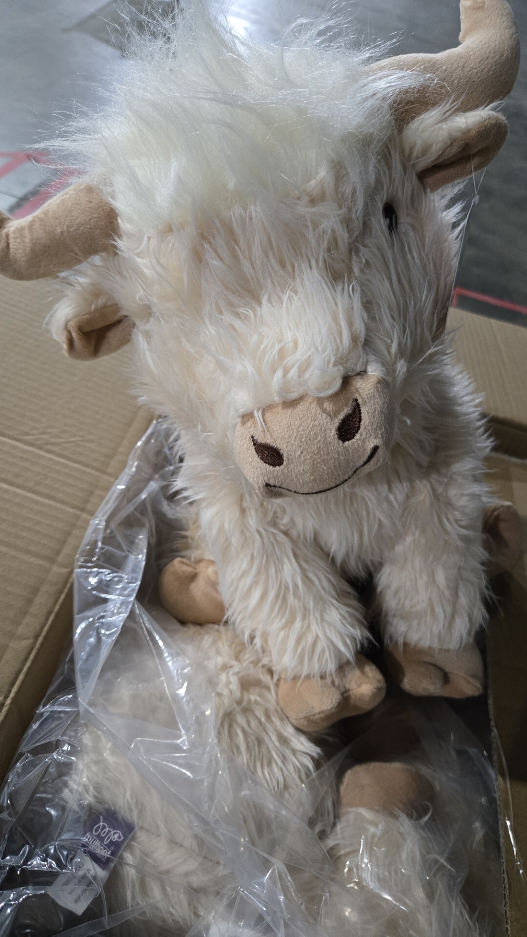 Pet Supplies Plus Carrollton Carrollton