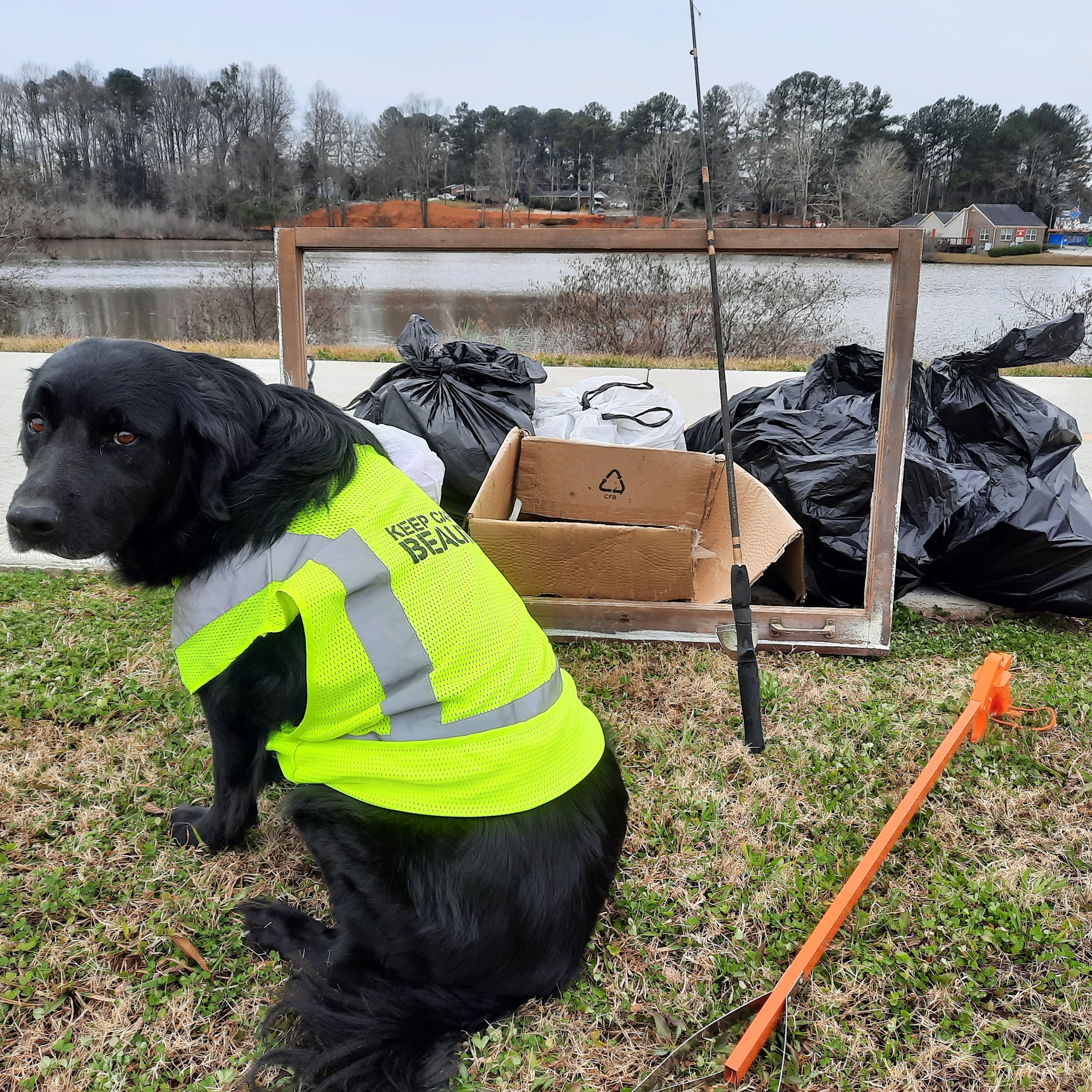 Lakeview Animal Hospital Carrollton