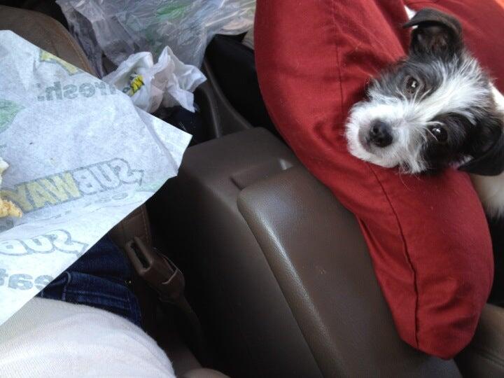 Photo credit: nextdoor