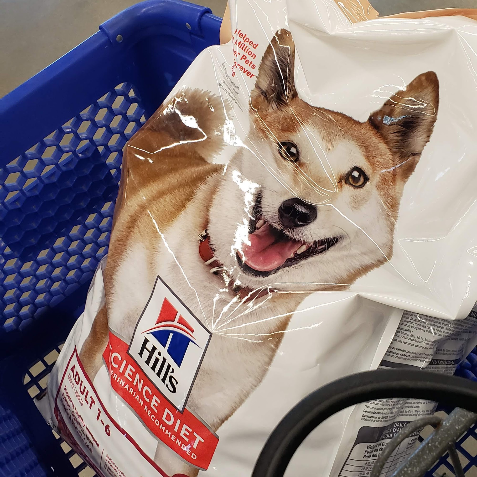 PetSmart Cartersville