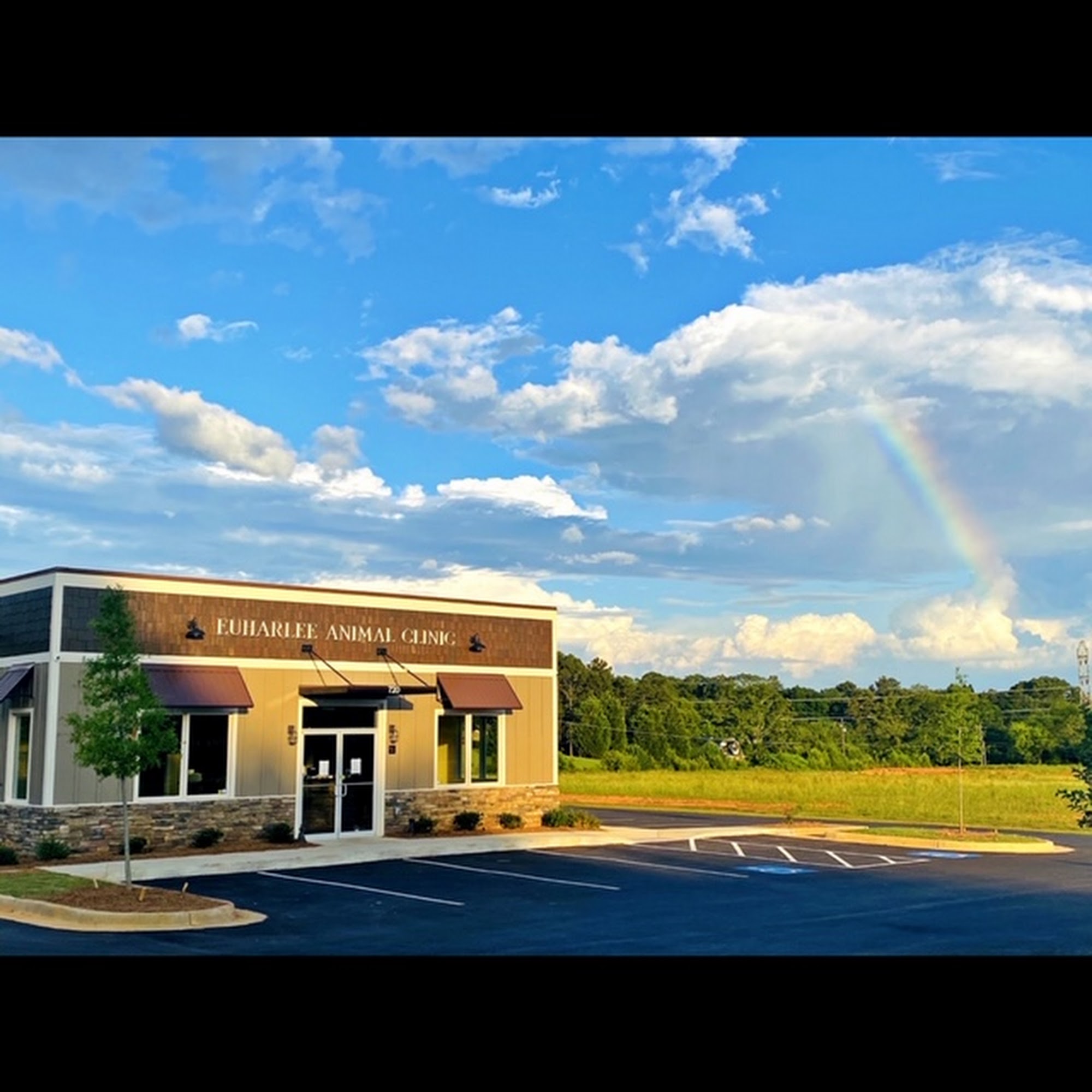 Leslie Baird, DVM Cartersville