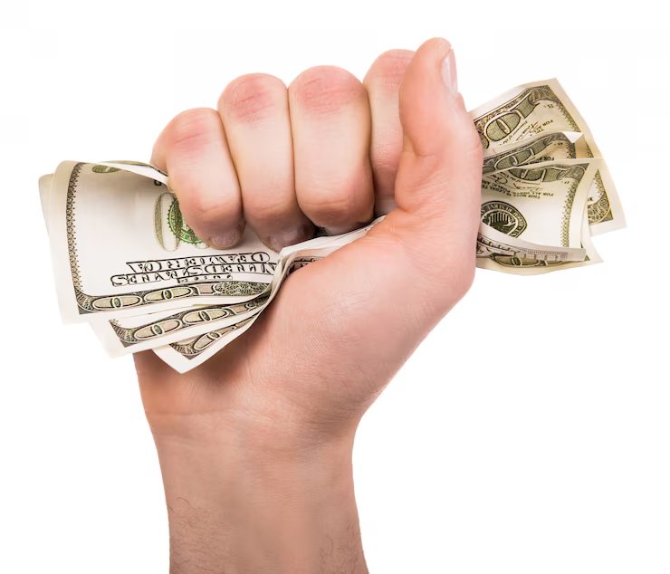 Georgia Auto Pawn, Inc.