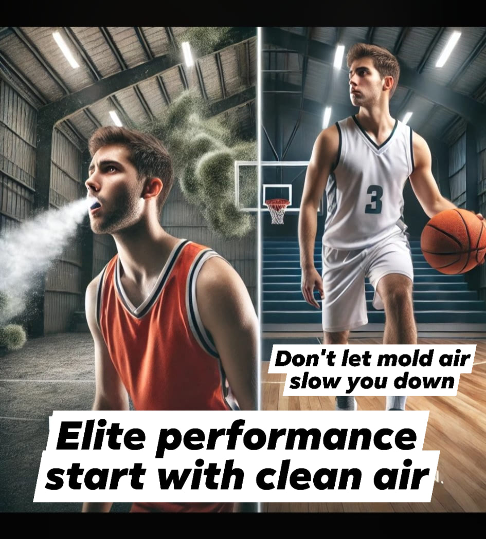 Breathe Easy Sanitizing