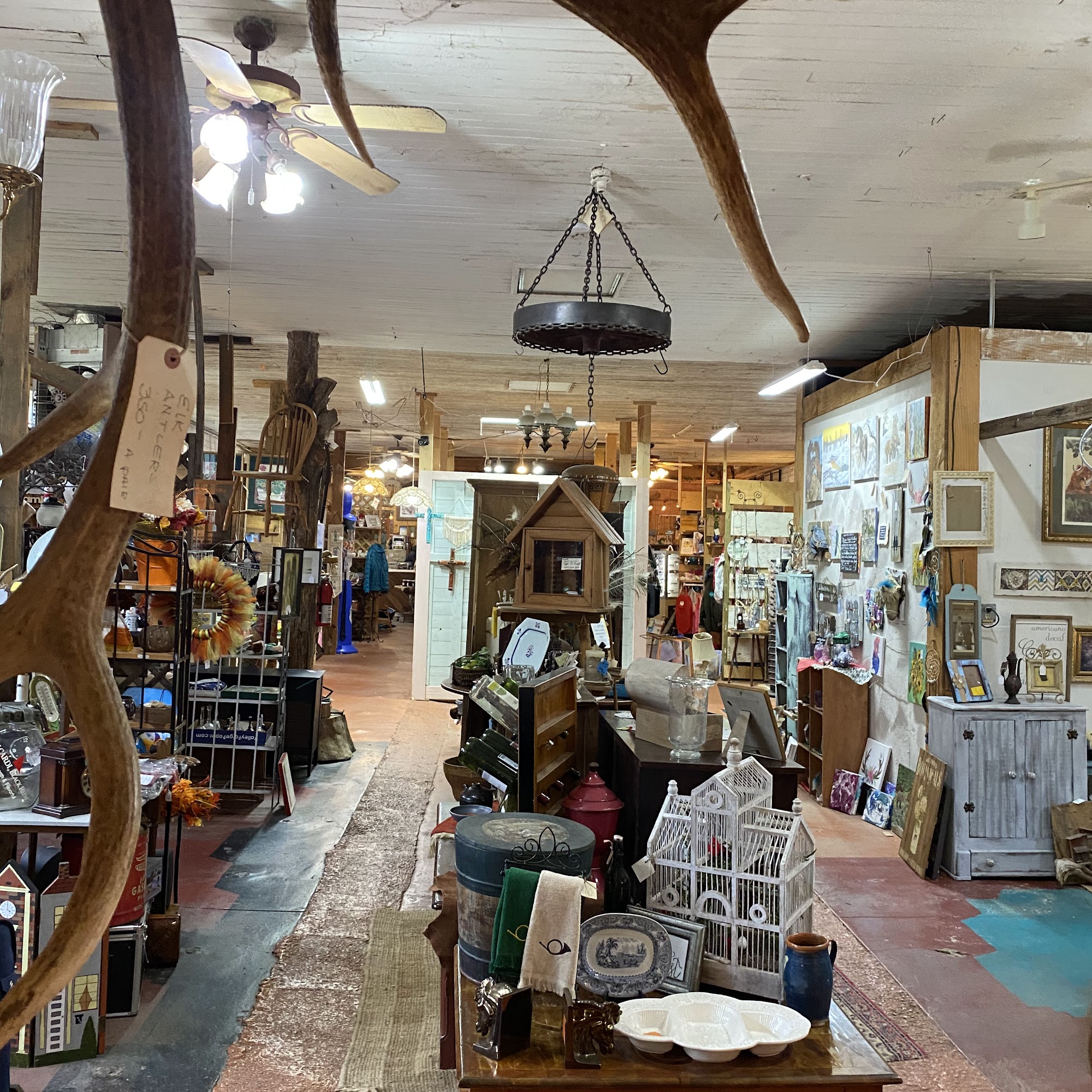 Daniel's Wood Den Cataula