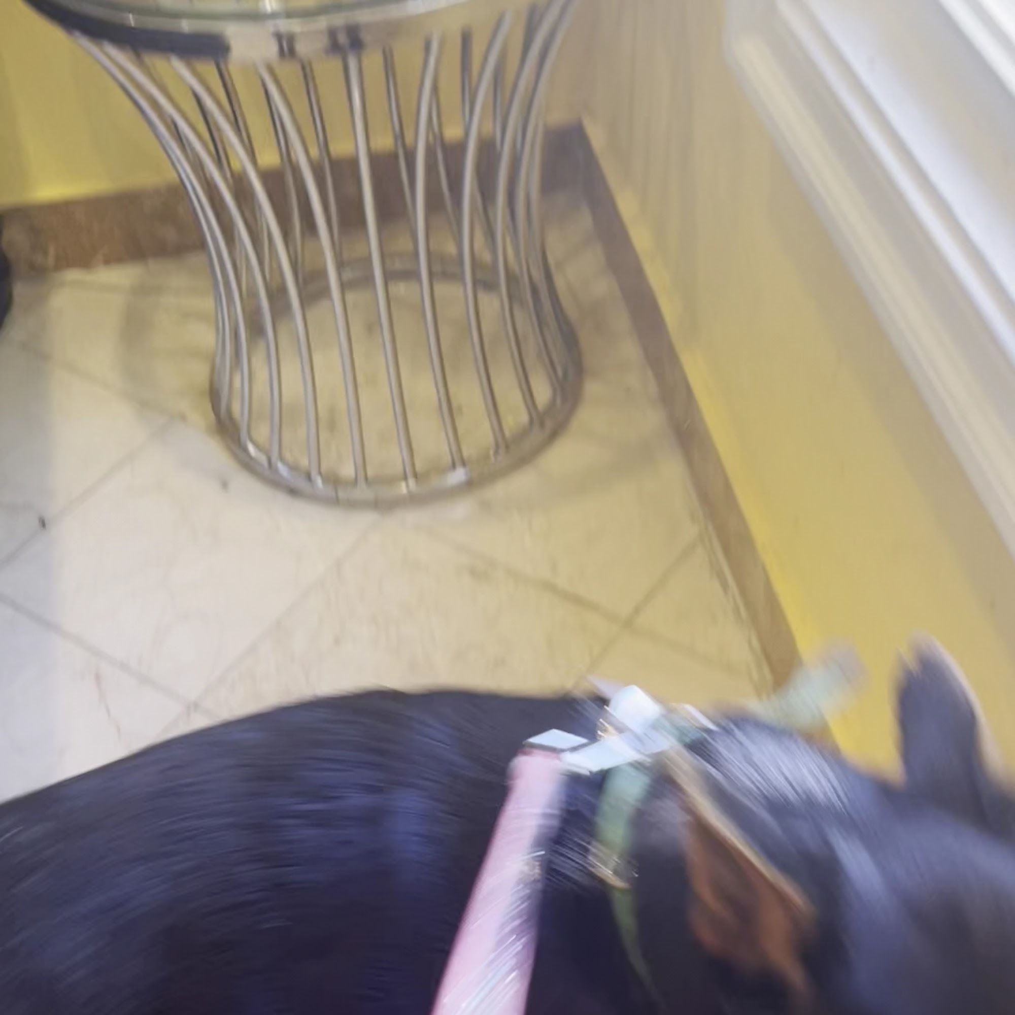 North Hills Animal Hospital Chamblee