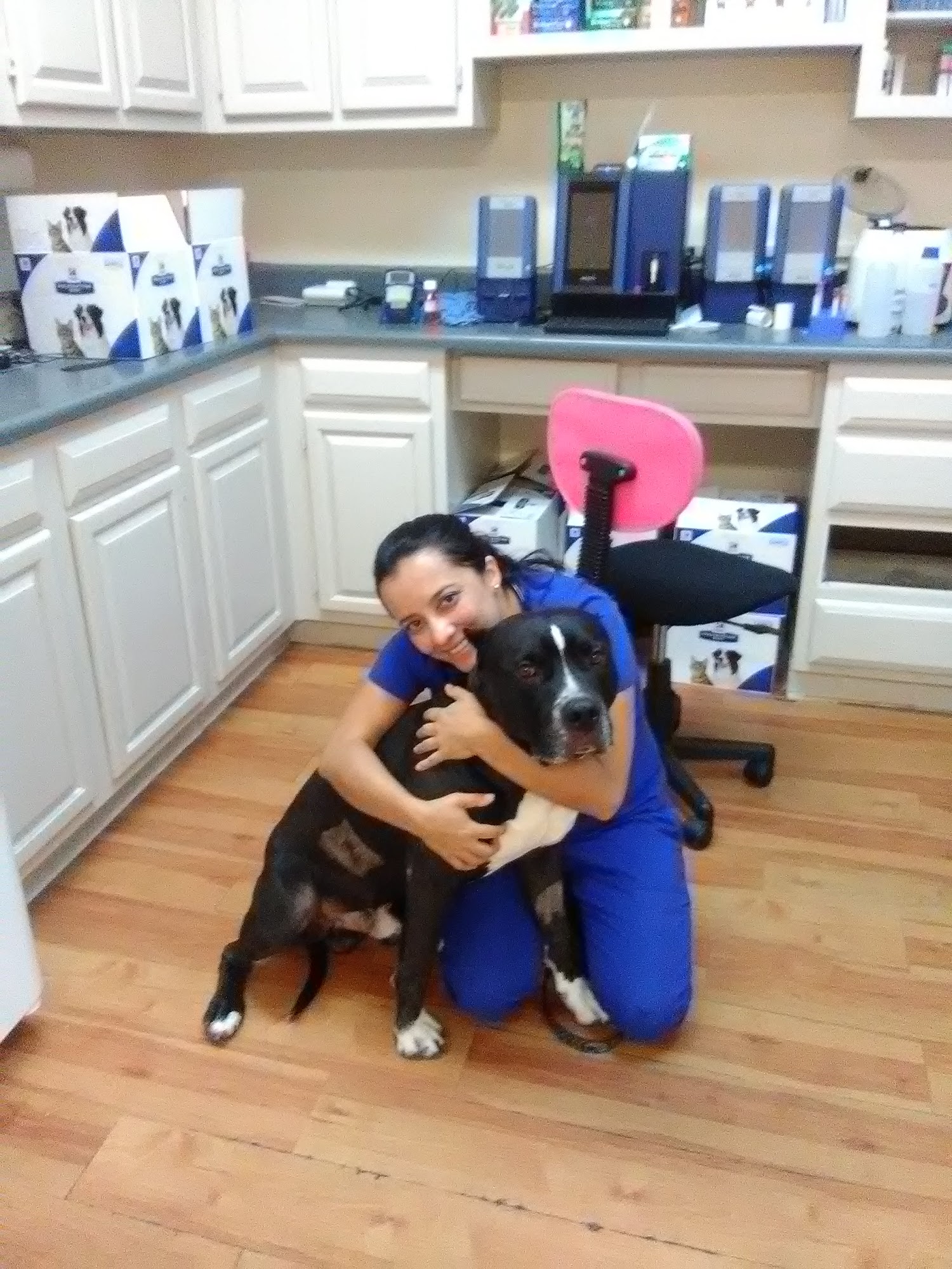 North Hills Animal Hospital Chamblee