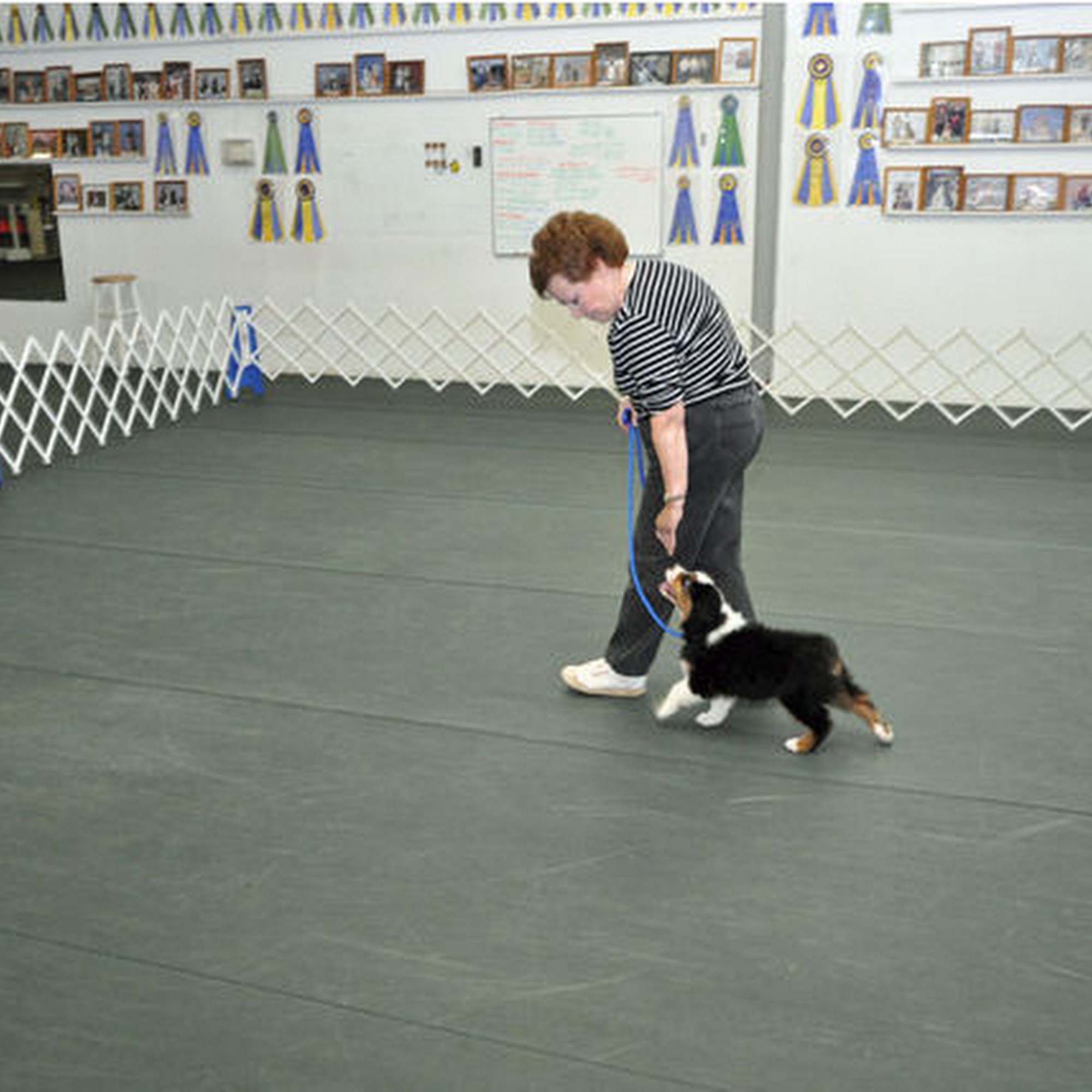 ADOG-Atlanta's Dogwood Obedience Group Chamblee