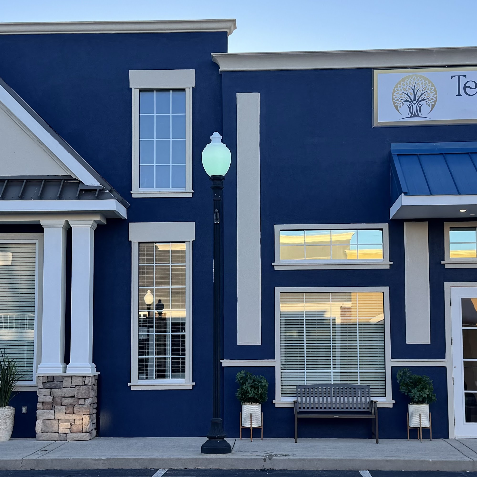 Temple Care & Wellness