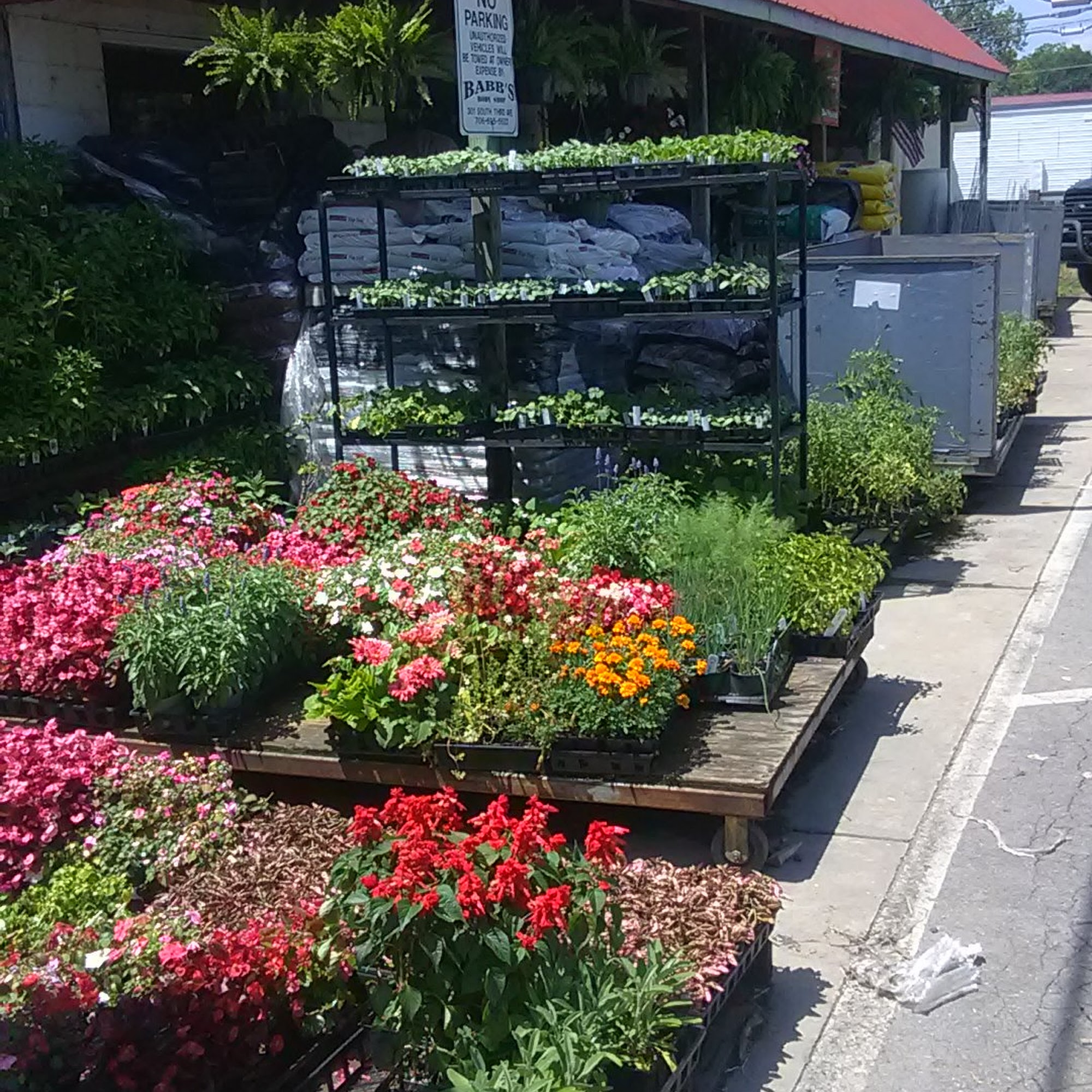 Murray County Feed & Seed Inc Chatsworth