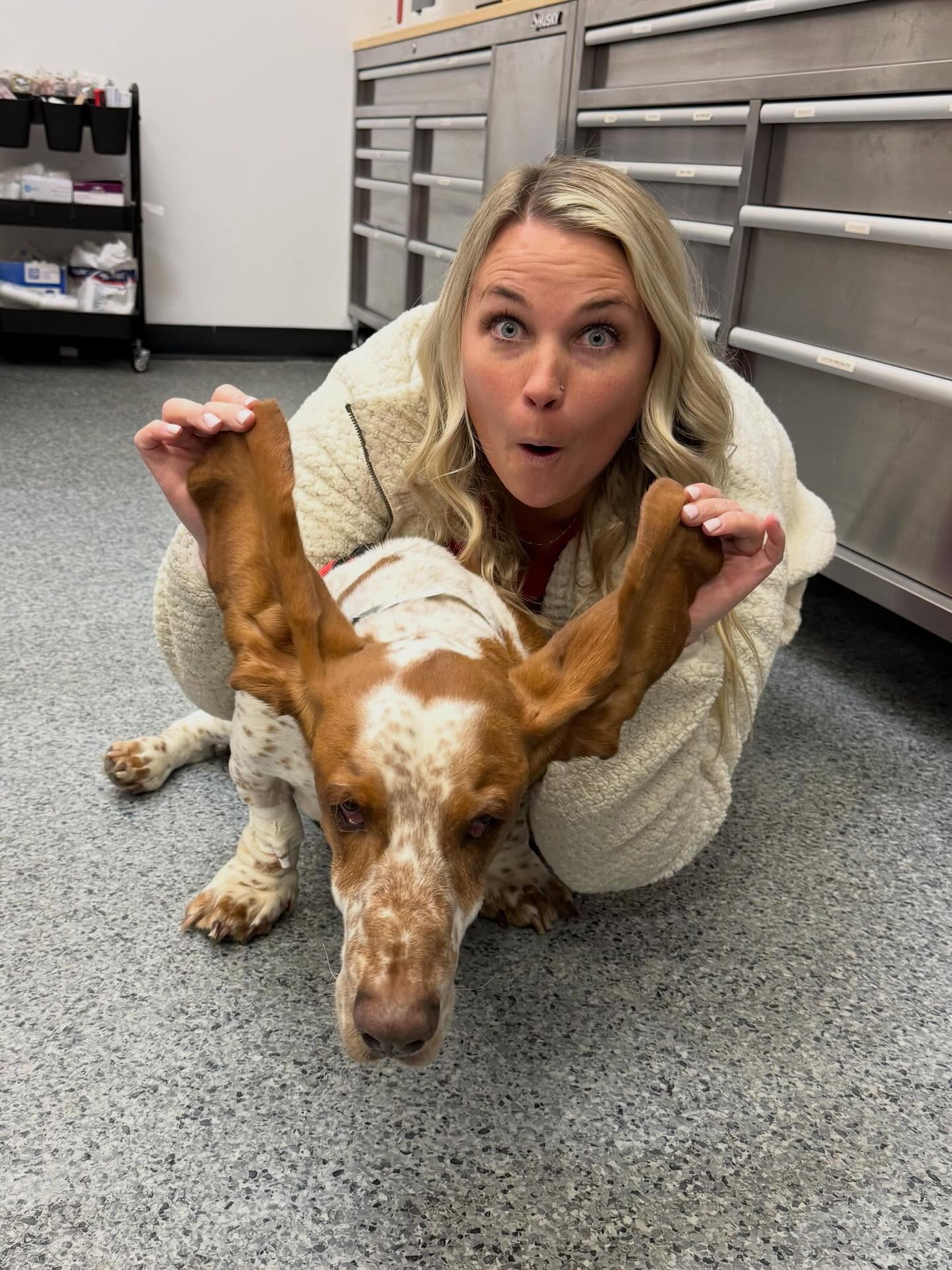 Chickamauga Veterinary Clinic Chickamauga