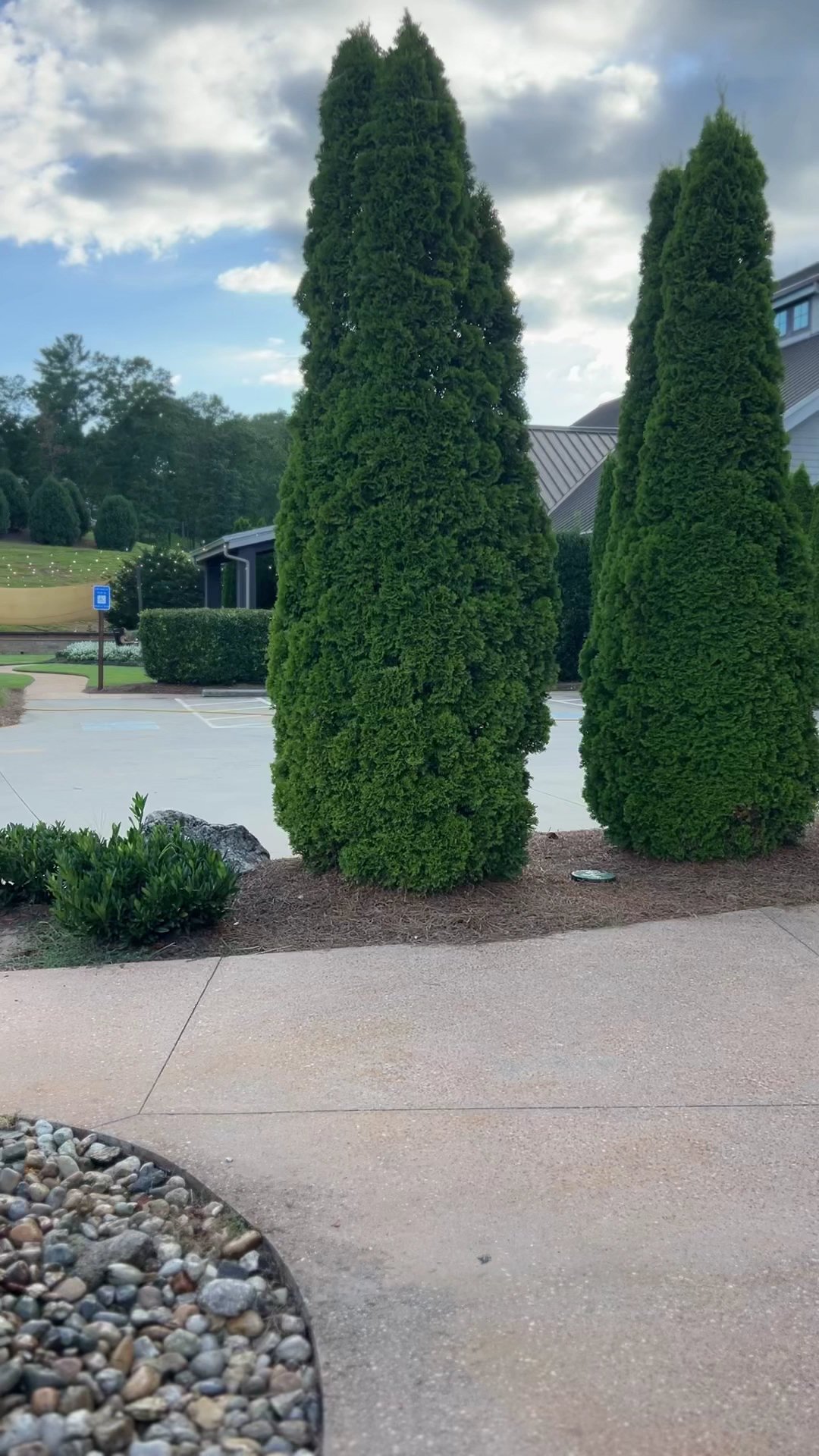 Yonah Mountain Vineyards Cleveland