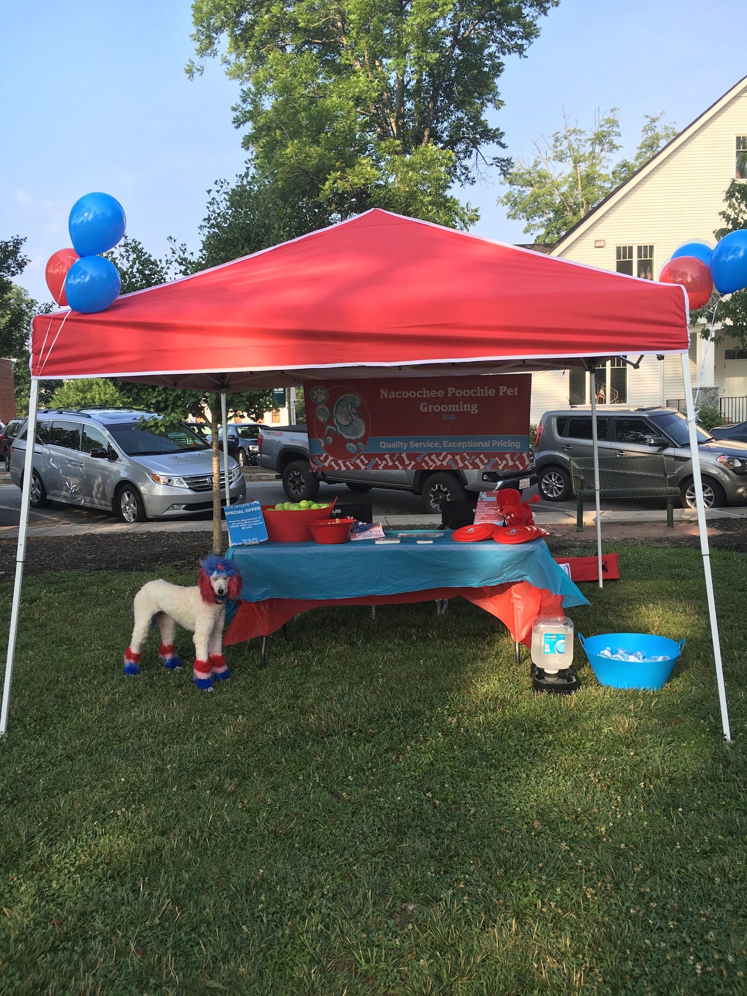 Nacoochee Poochie Pet Grooming LLC Cleveland