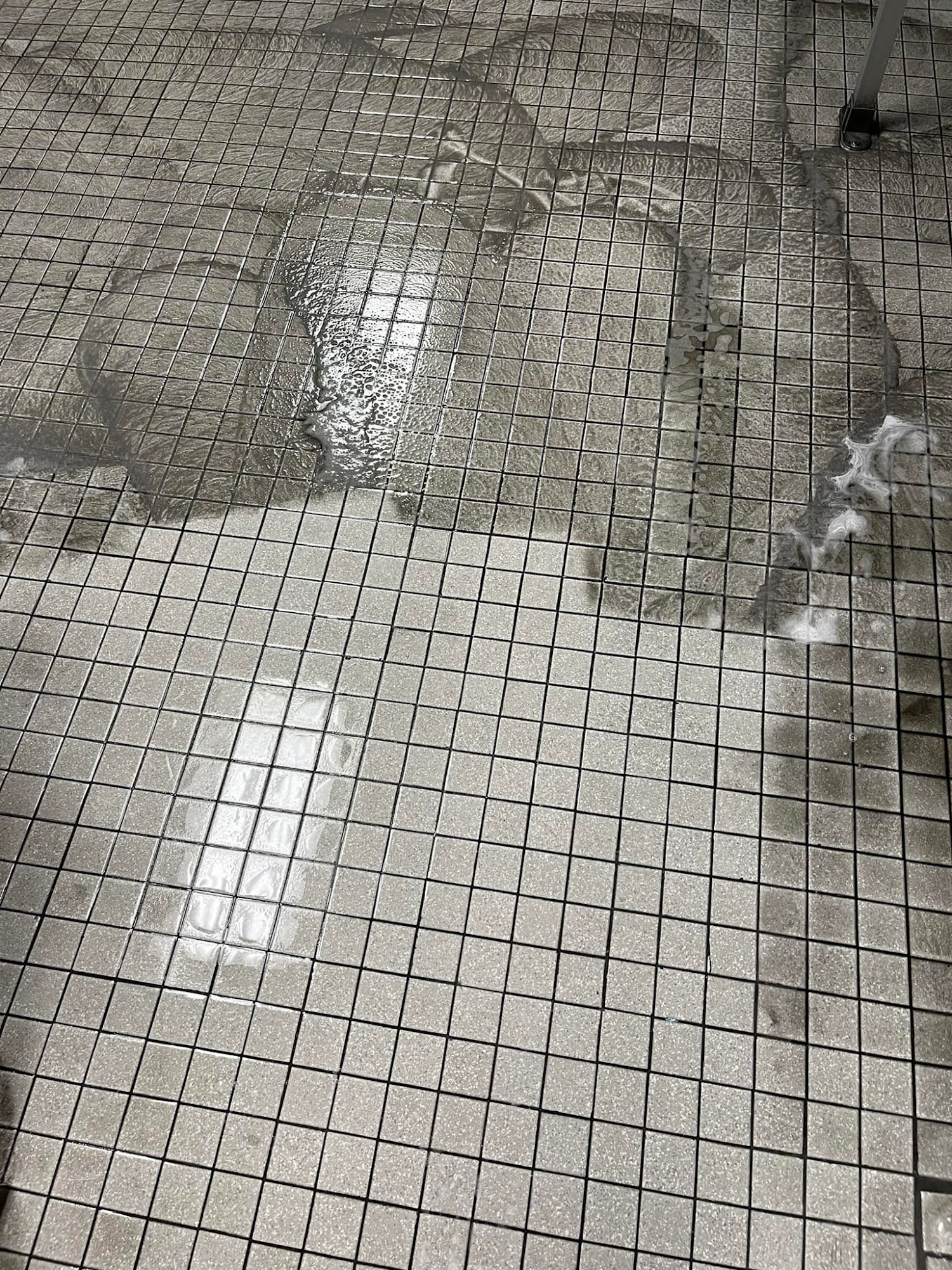 Absolute Carpet Care