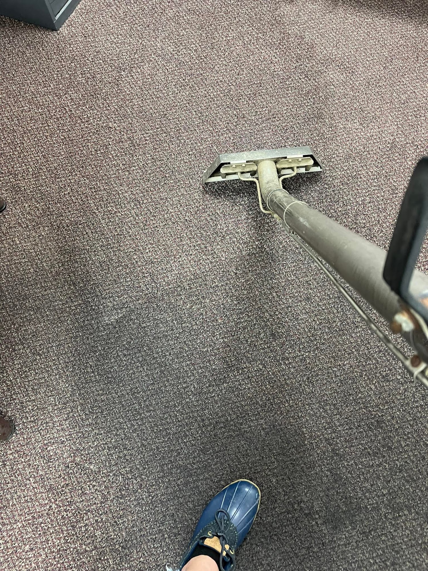 Absolute Carpet Care