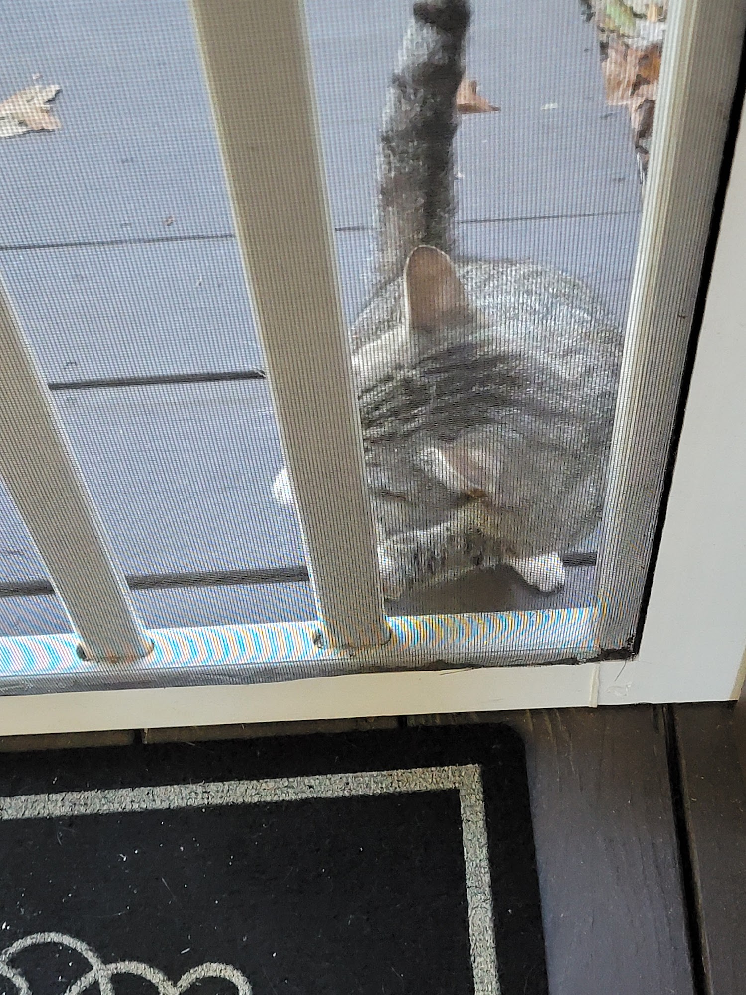 White County Animal Control Cleveland