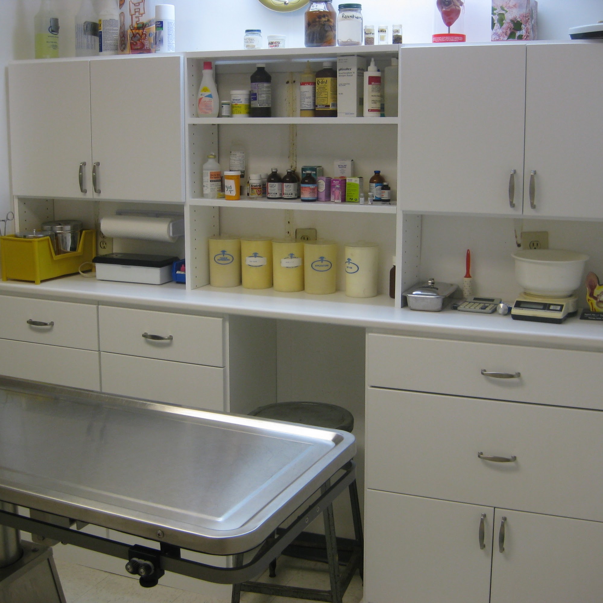 Red Oak Animal Hospital College Park