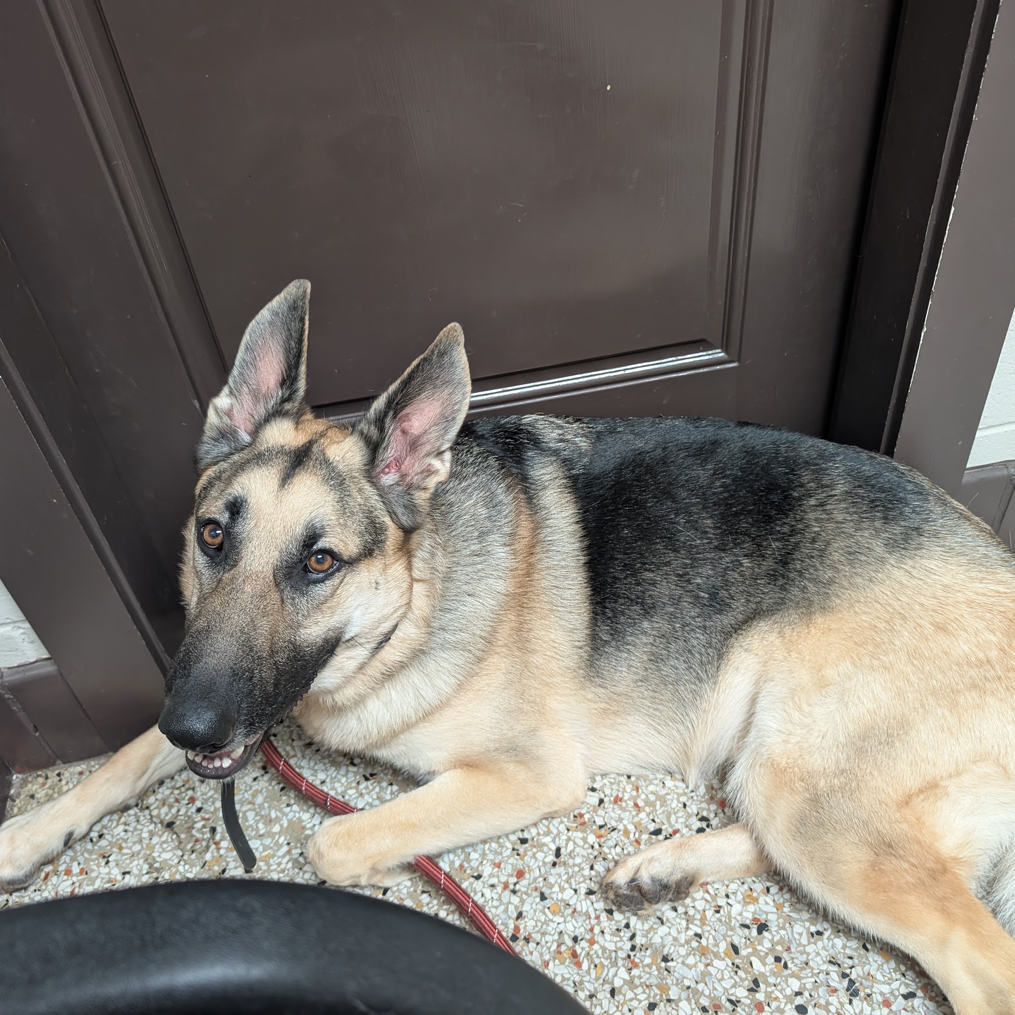 Animal General Hospital Columbus