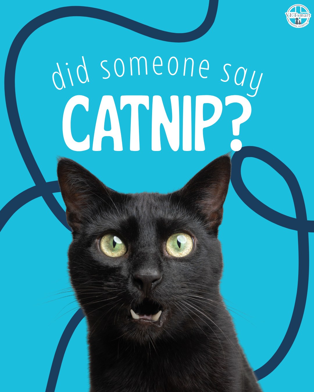 VETsmart Animal Hospital Columbus