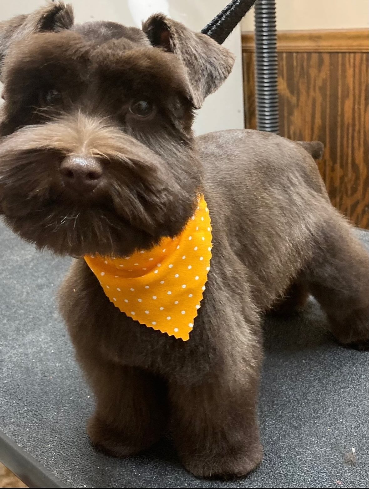 Bark Street Grooming Commerce