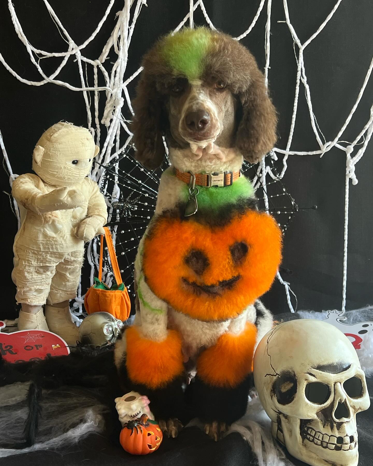 Bark Street Grooming Commerce