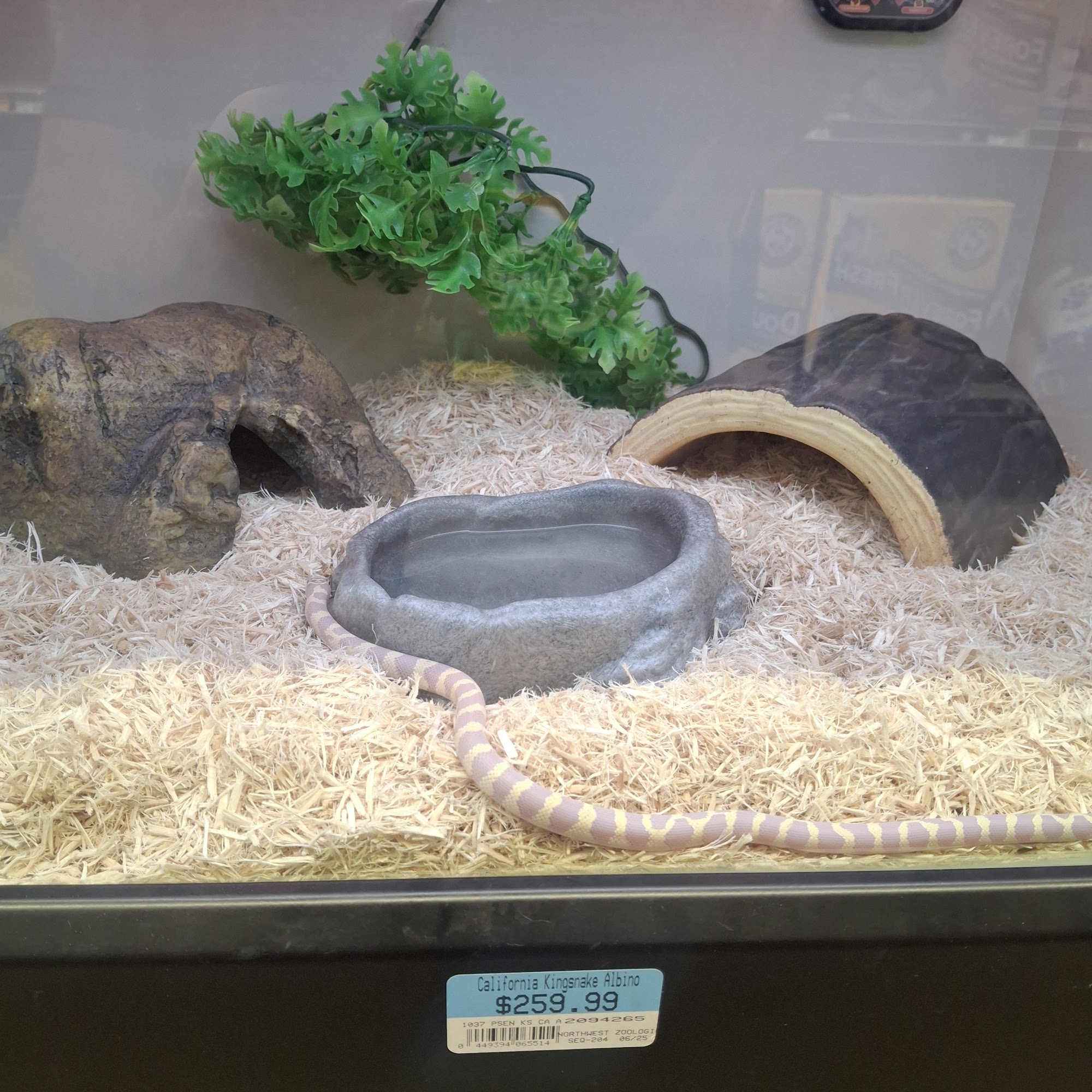 Petsense by Tractor Supply Cornelia