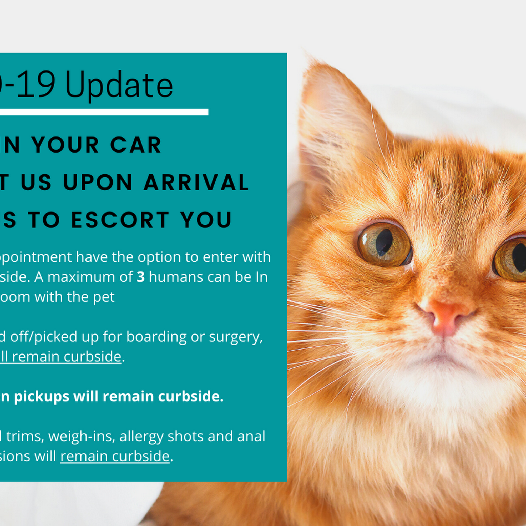 Covington Veterinary Clinic, PC Covington