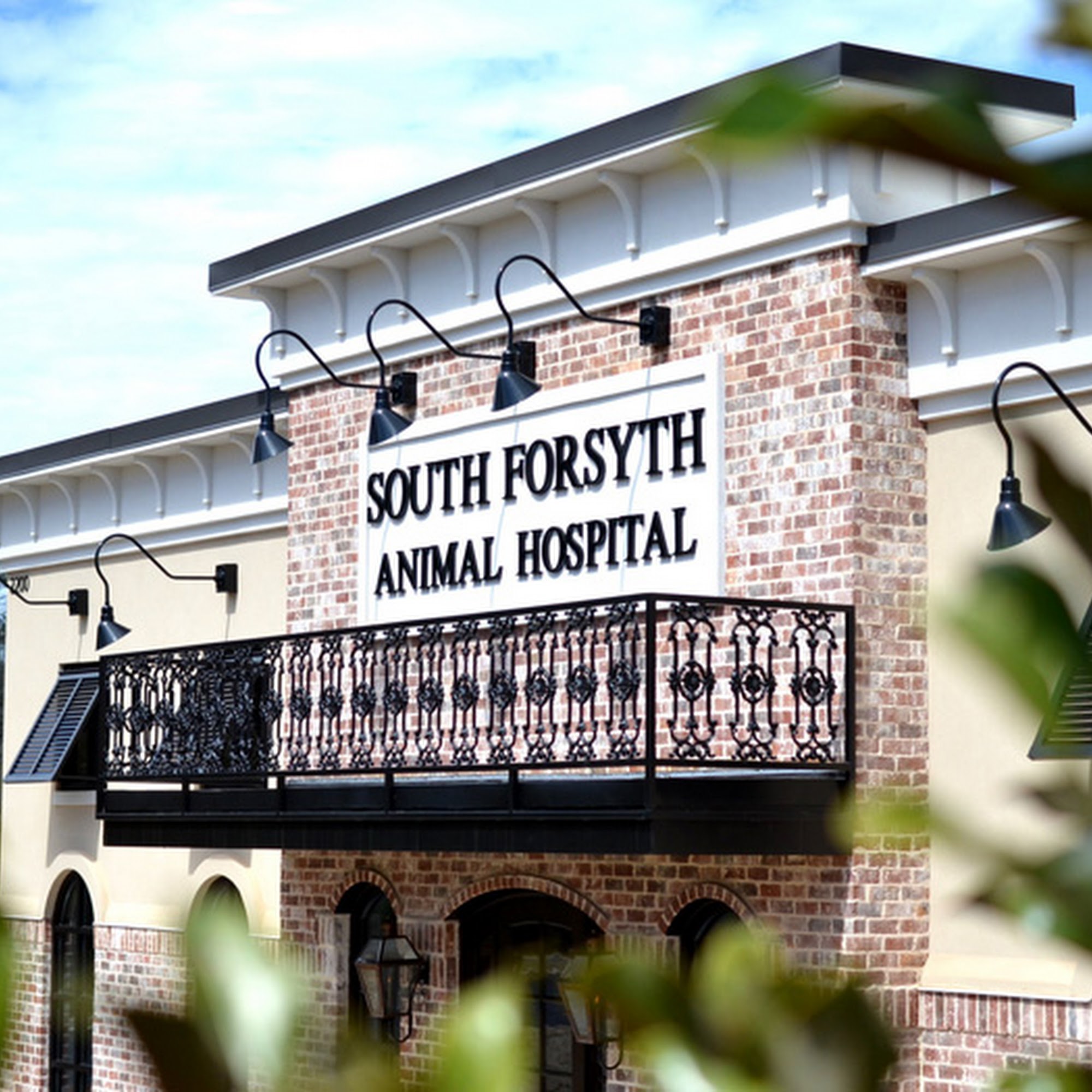 South Forsyth Animal Hospital Cumming
