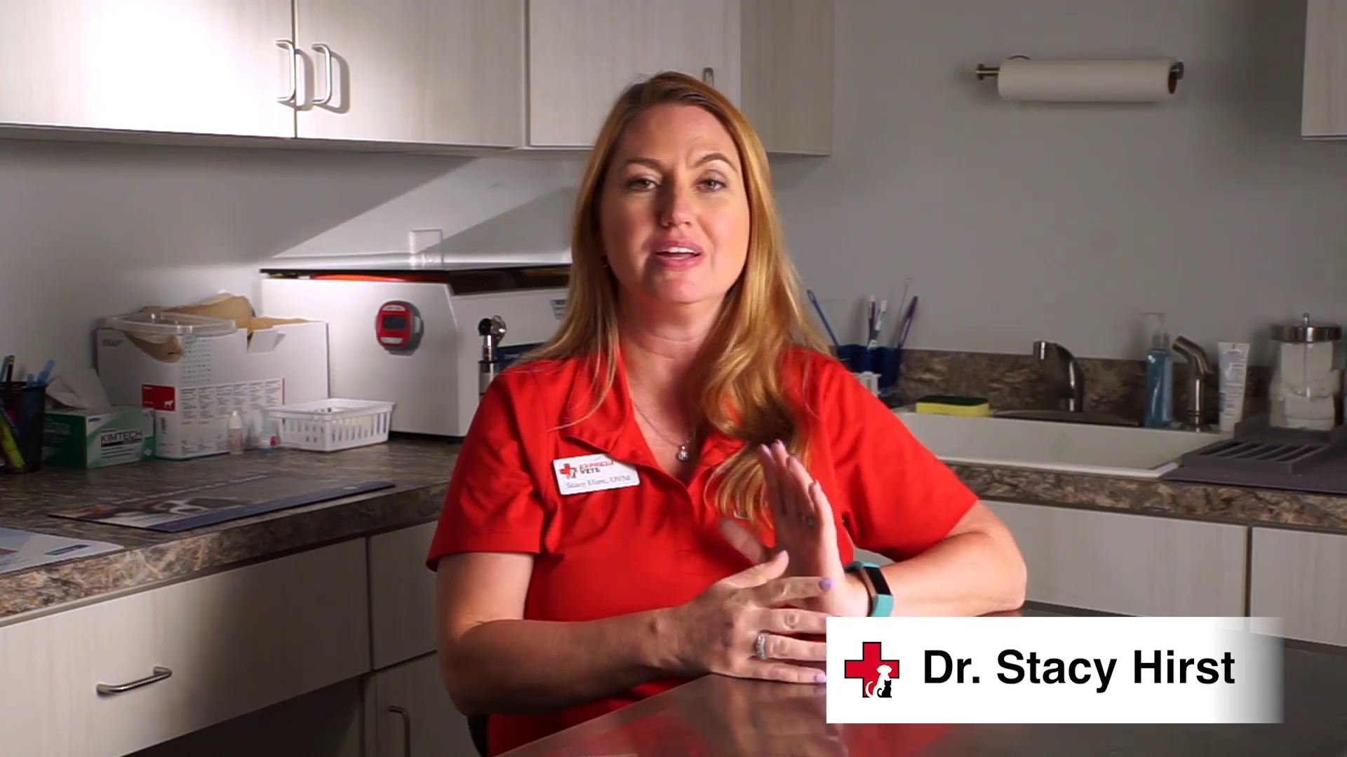 Express Vets Cumming Cumming