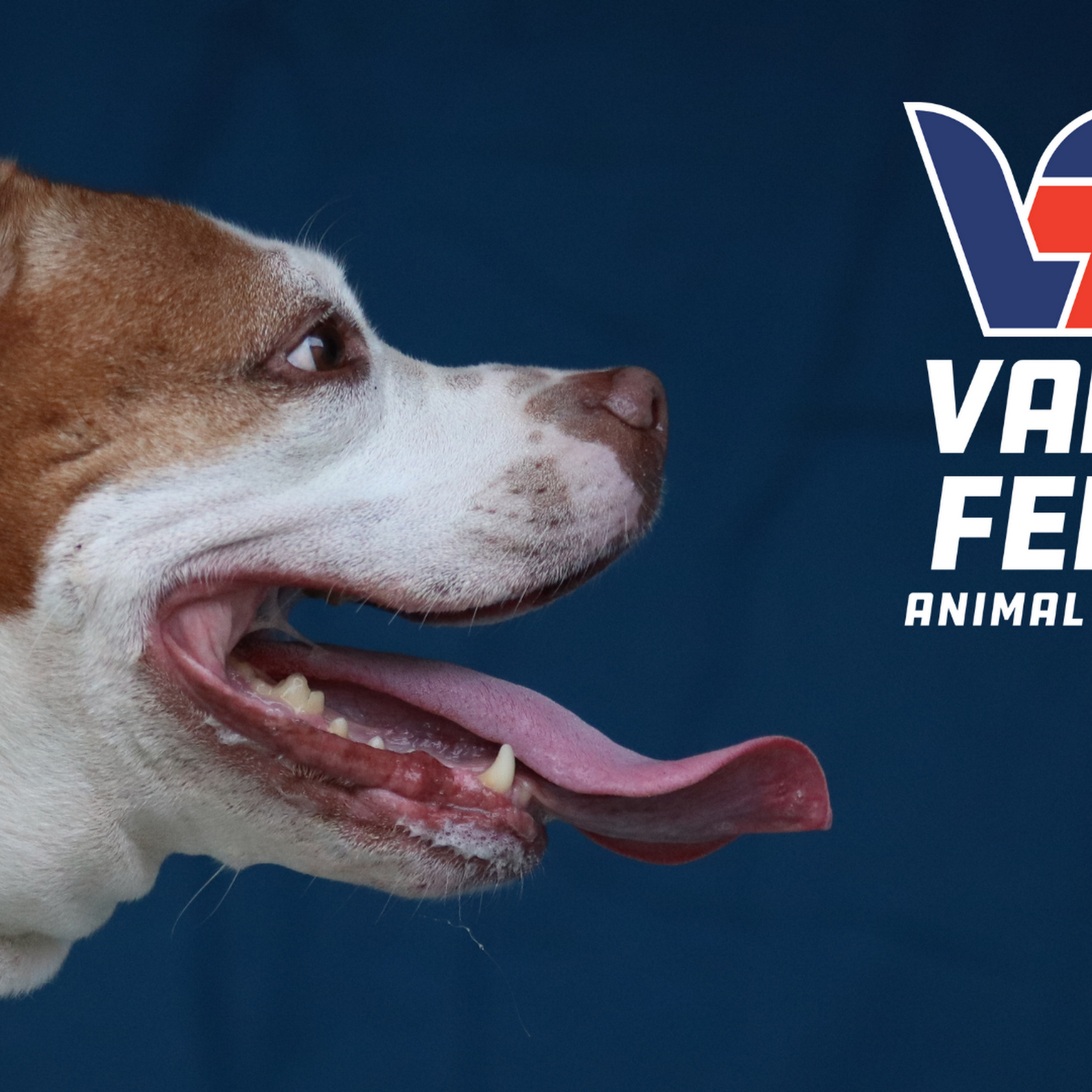 Vann's Ferry Animal Hospital Cumming