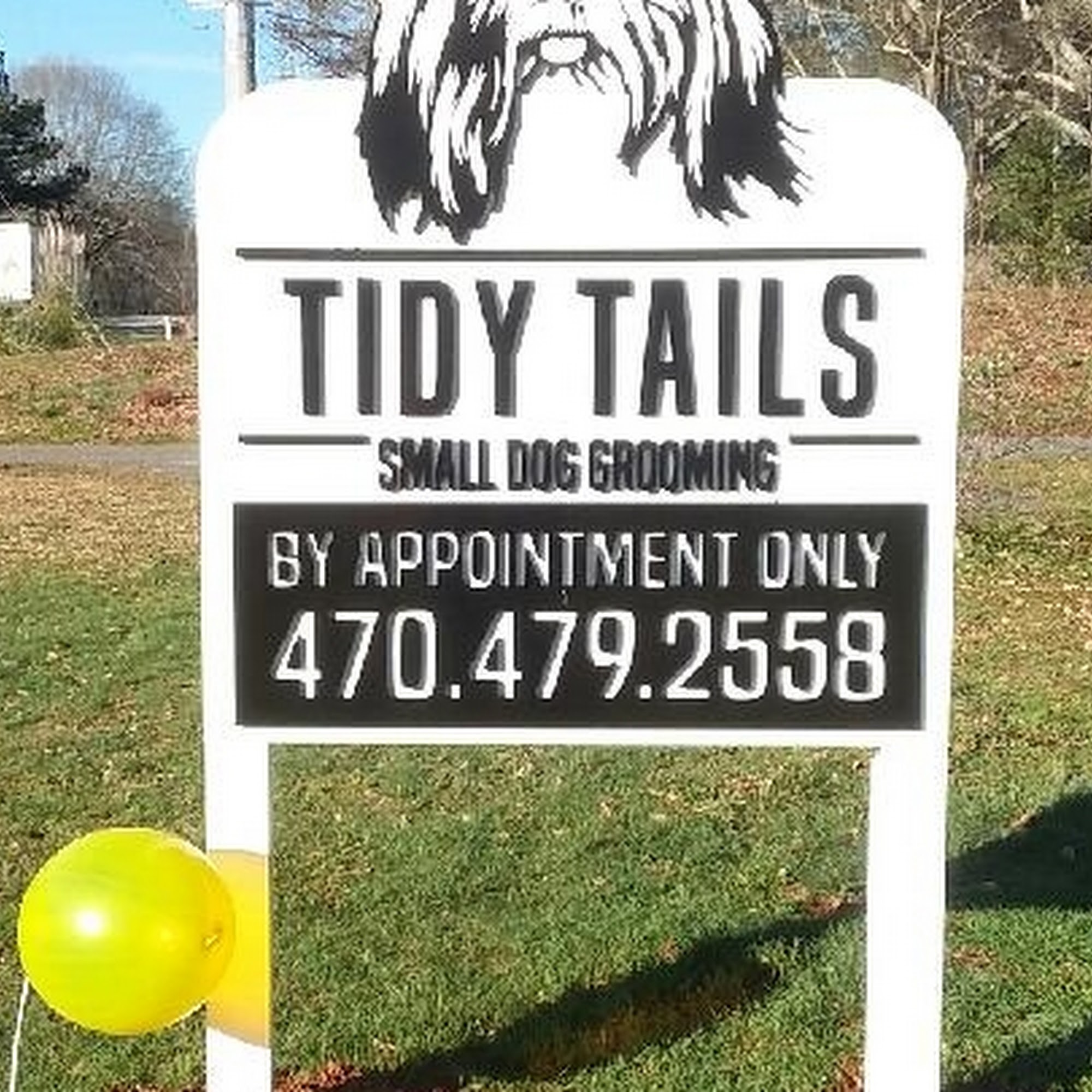 Tidy Tails LLC dog grooming Cumming