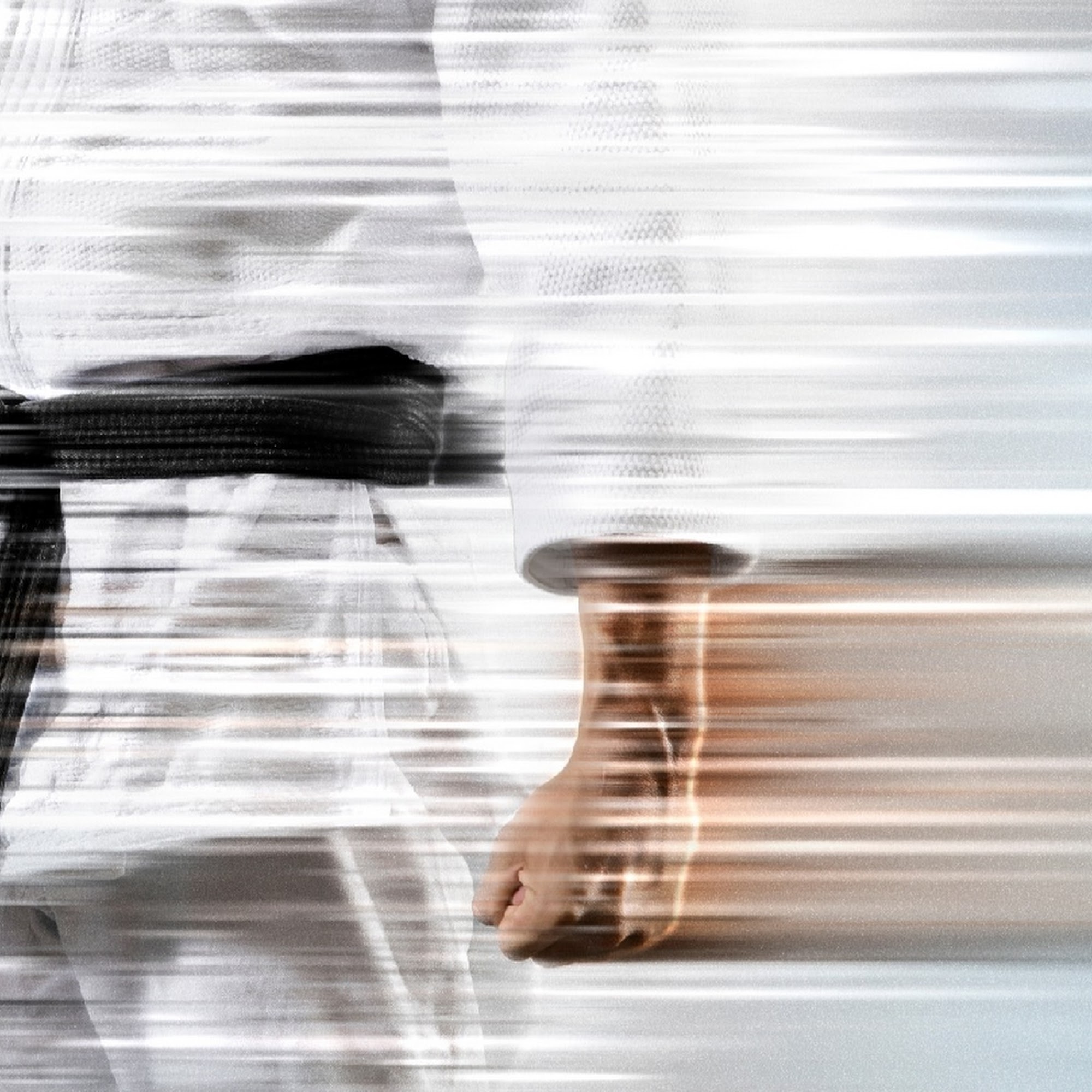 The Karate Dojo 564 Lakeland Plaza, Cumming Georgia 30040