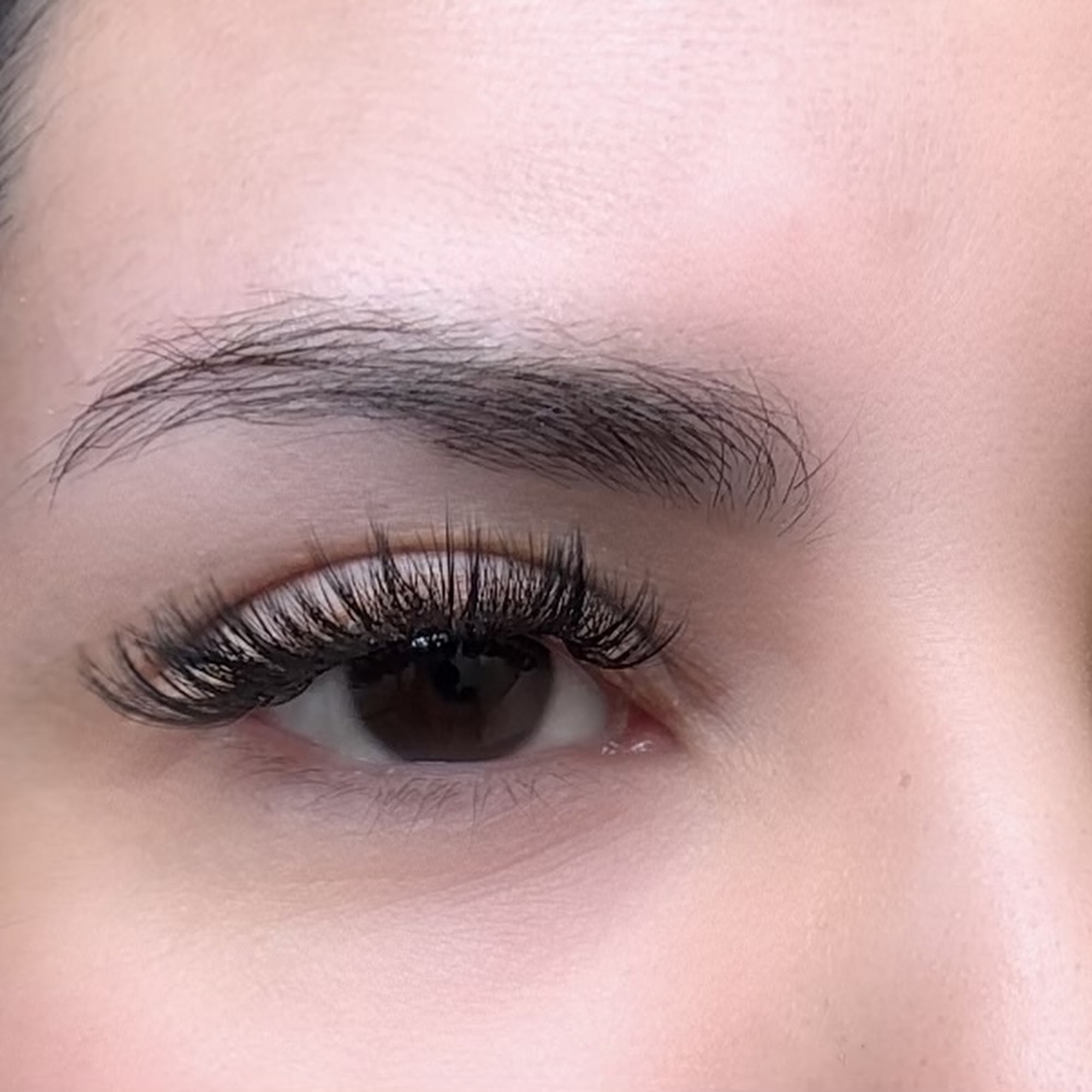 Ludus Lashes