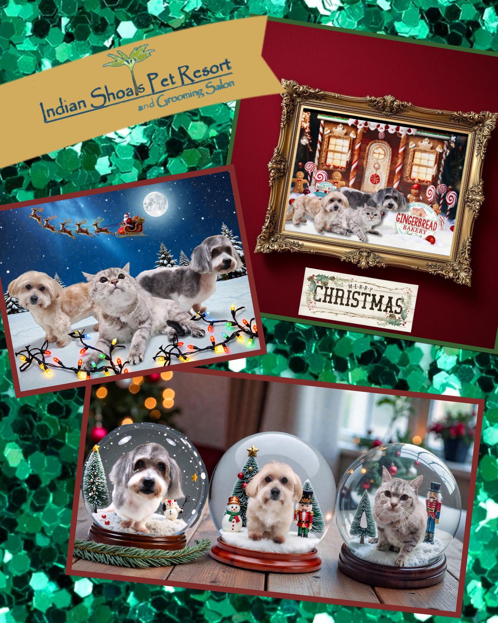 Indian Shoals Pet Resort & Grooming Salon Dacula