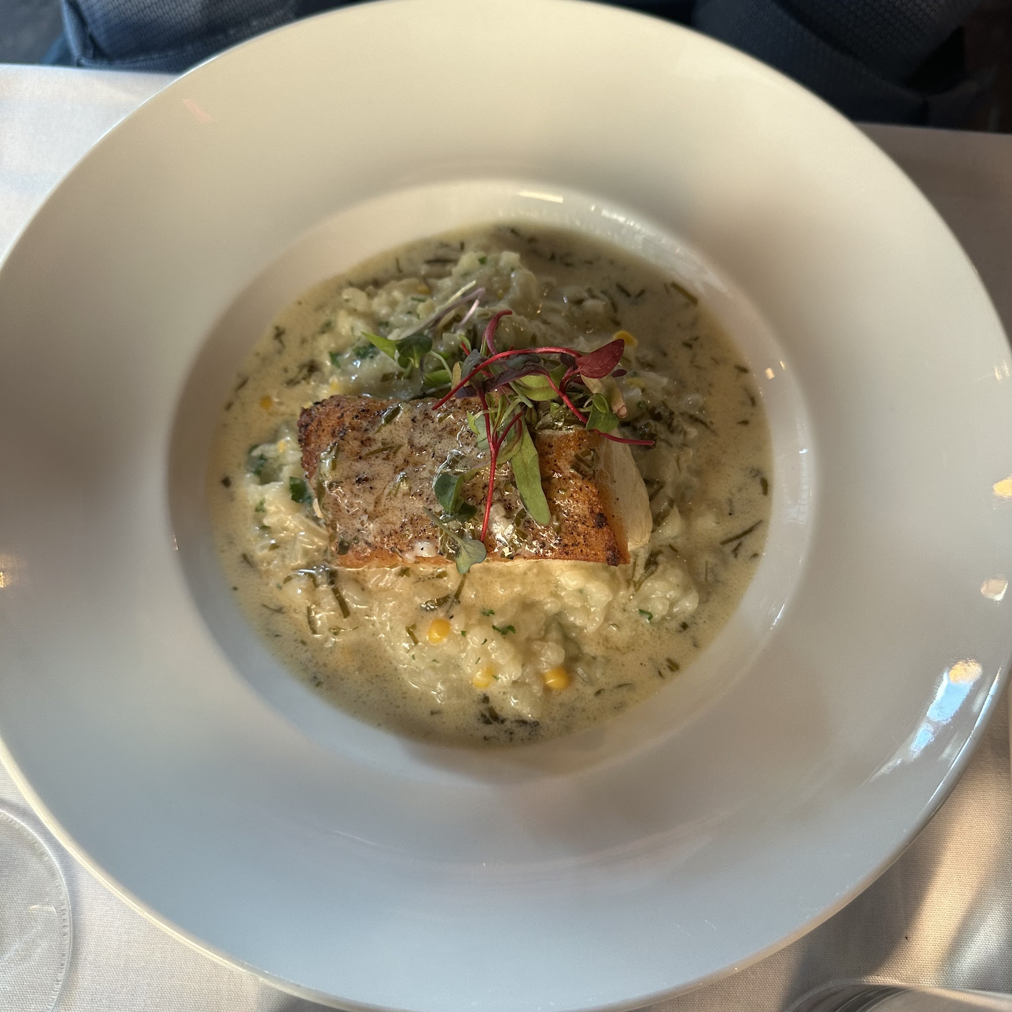 The Galloping Galette Dacula - TGG Dacula Dacula