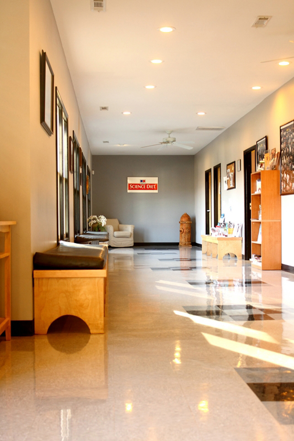 VCA Dahlonega Animal Hospital Dahlonega