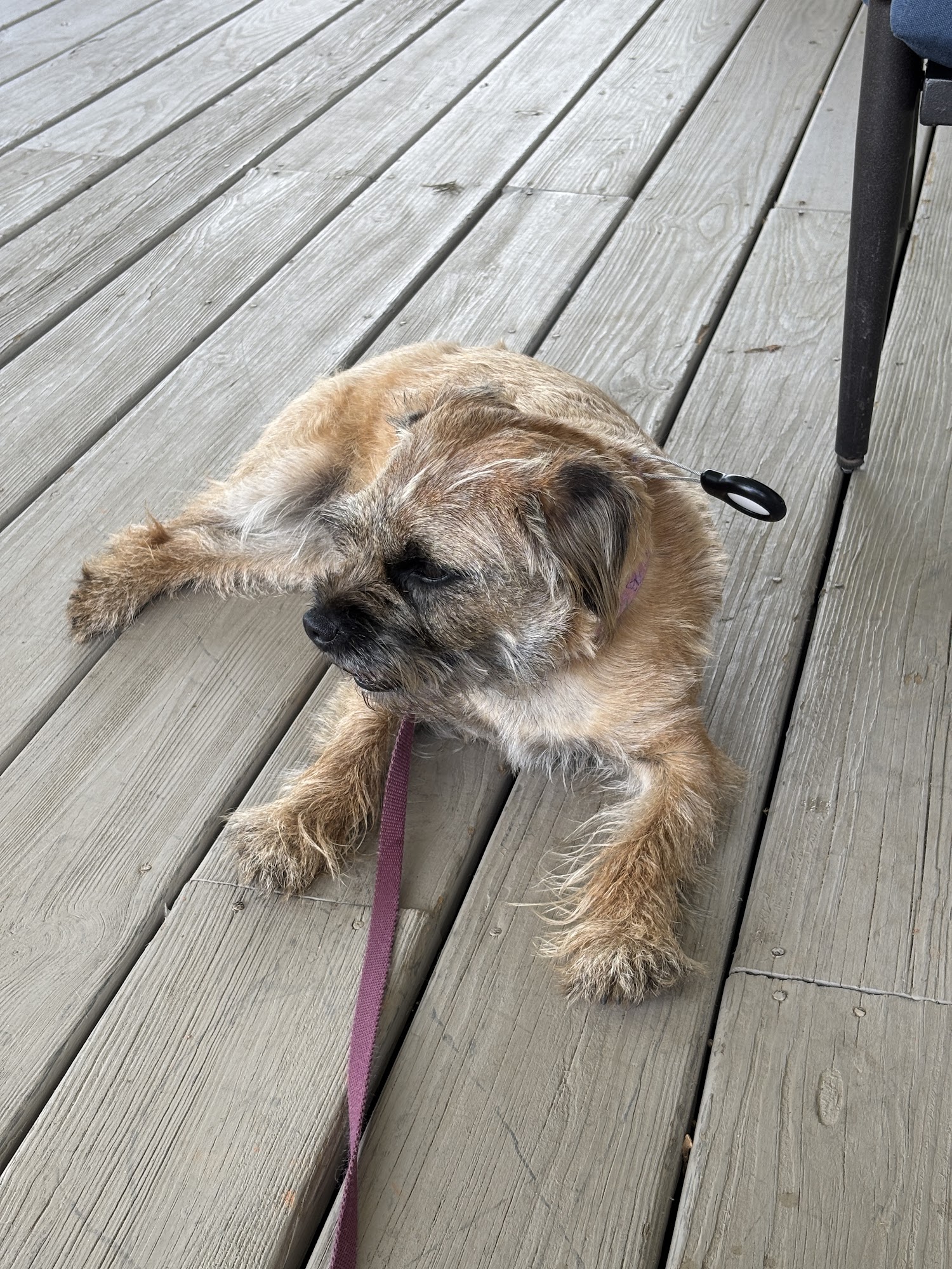 Three Sisters Vineyards & Winery Menu