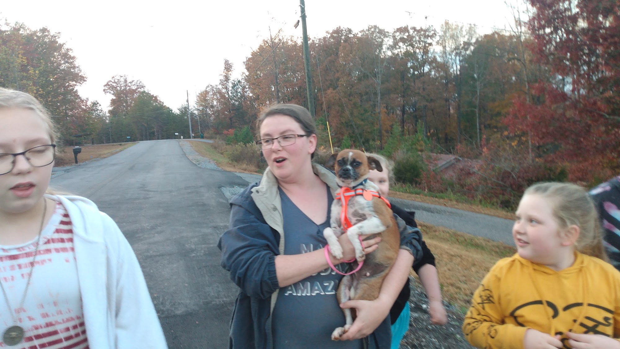 Lumpkin County Animal Shelter Dahlonega