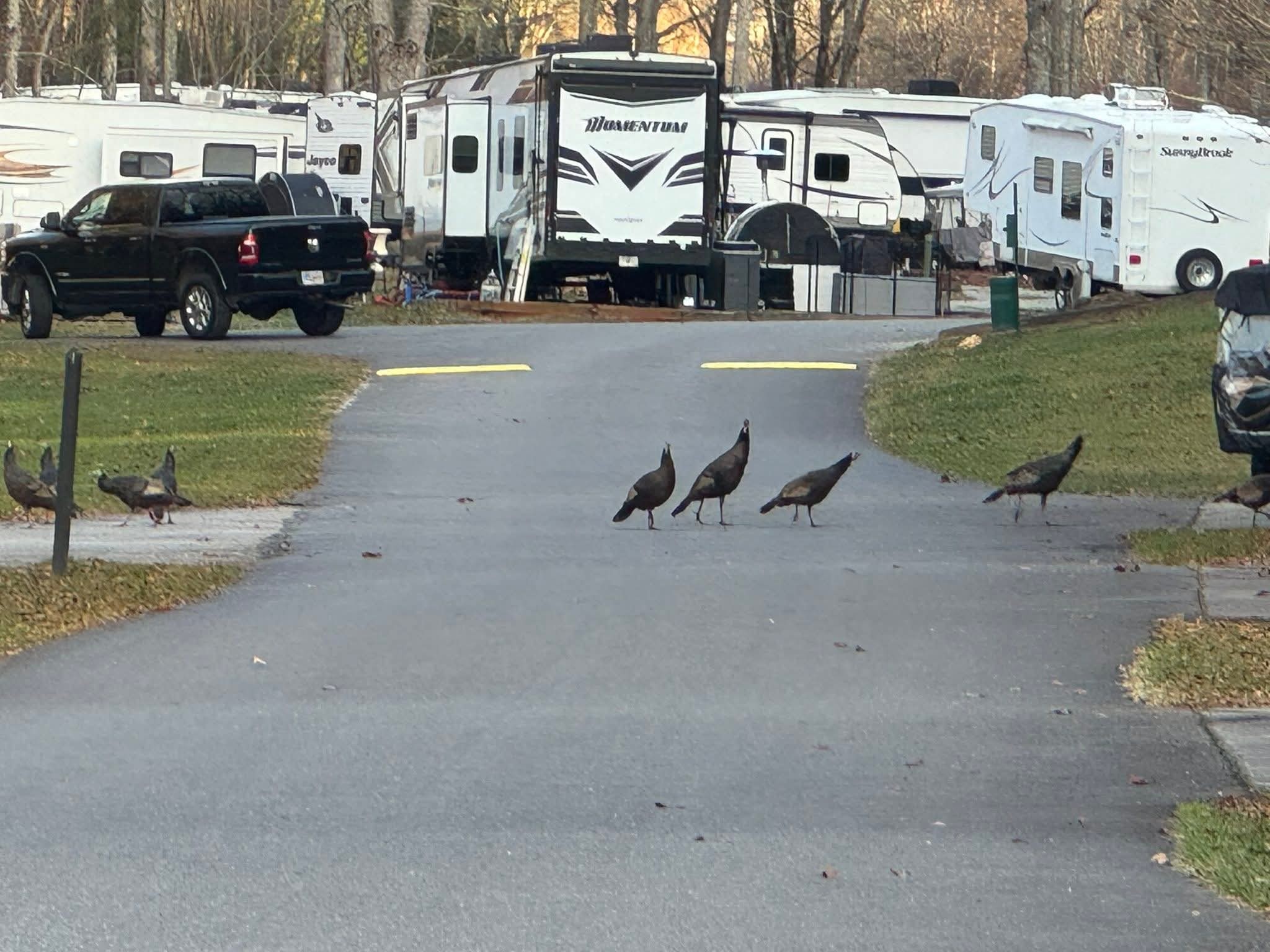 R-Ranch In the Mountains Dahlonega