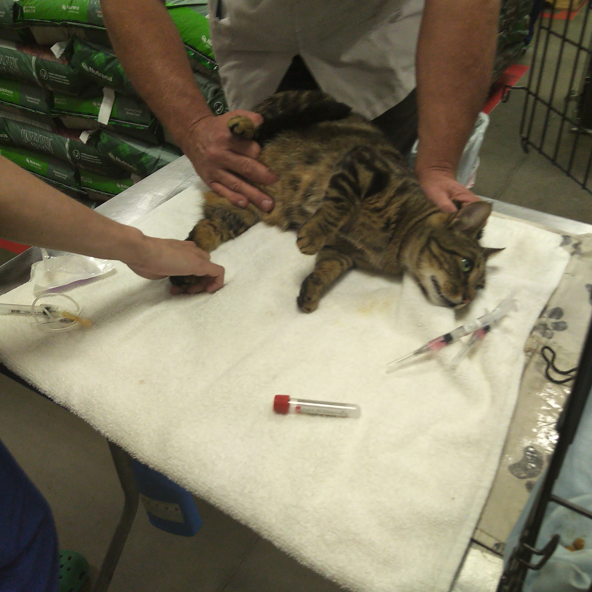 ProtectMyPet Vaccinations Clinic at Tractor Supply Co. Dallas