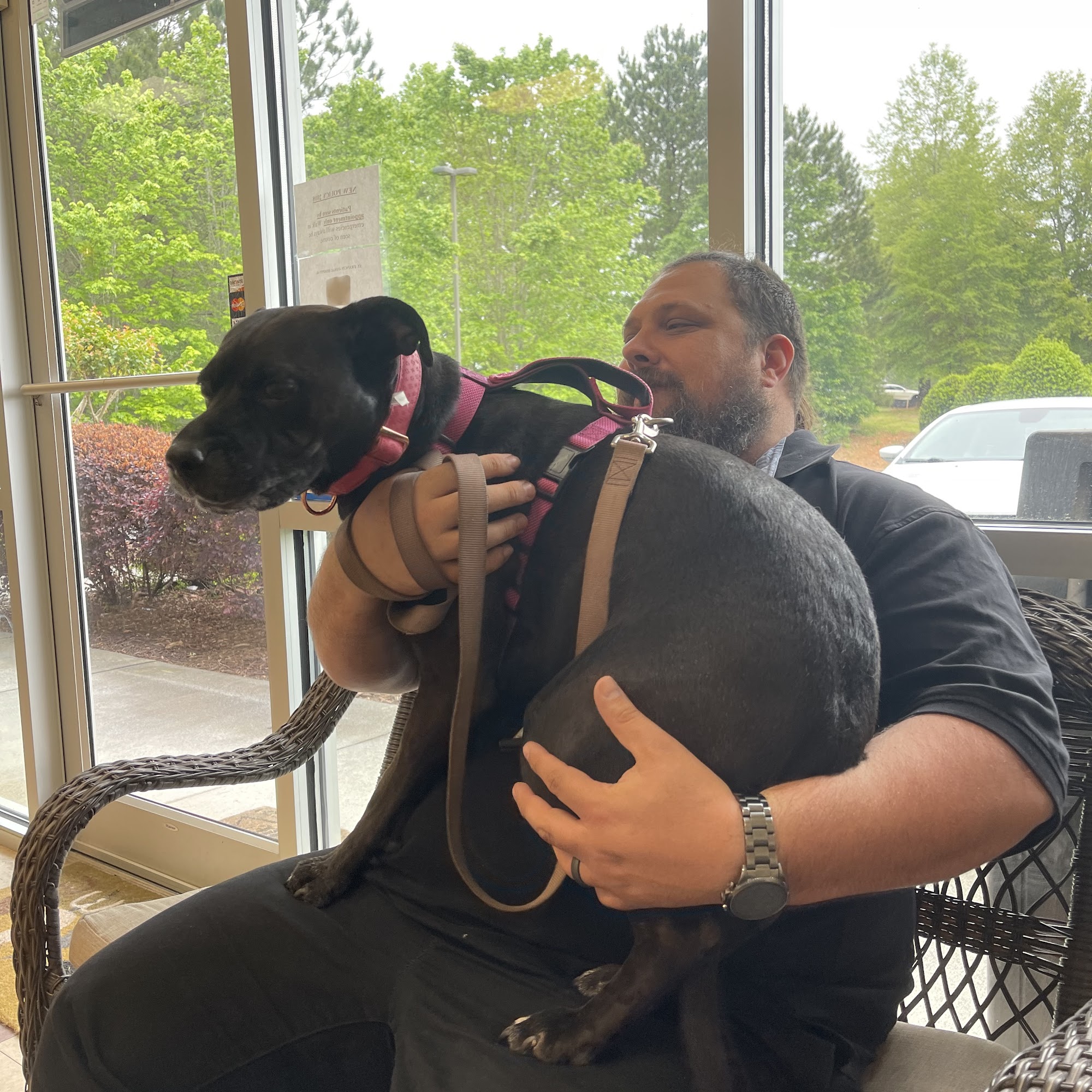 St Francis Animal Hospital Dallas