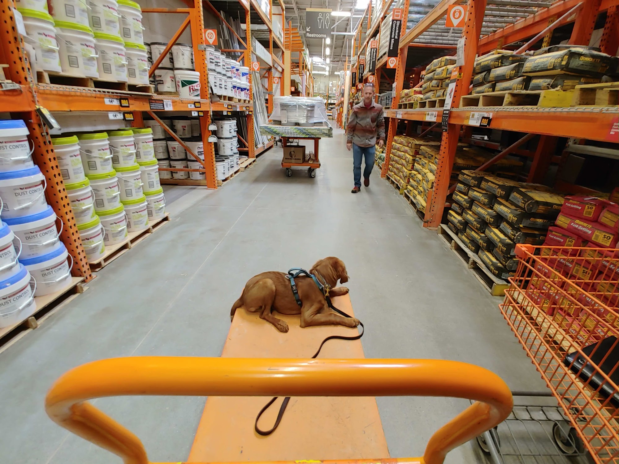 First Gen Dog Training Dallas